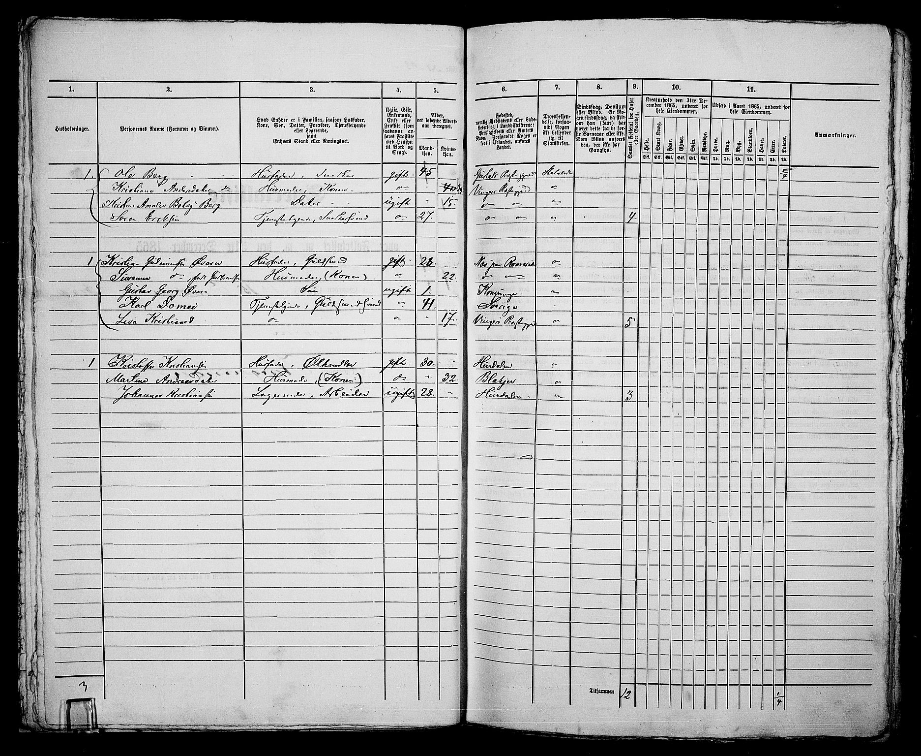 RA, 1865 census for Vinger/Kongsvinger, 1865, p. 53