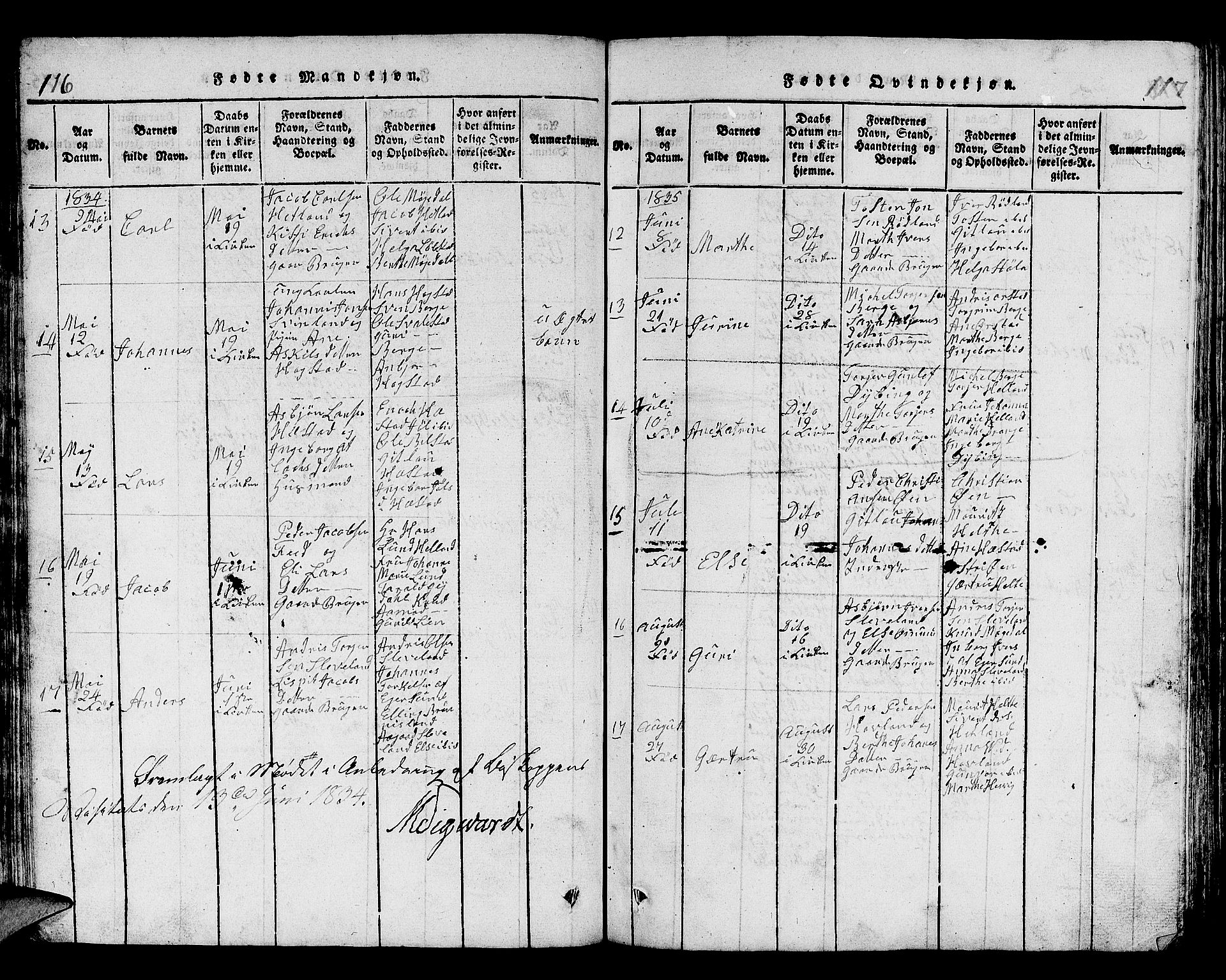 Helleland sokneprestkontor, SAST/A-101810: Parish register (copy) no. B 1, 1815-1841, p. 116-117