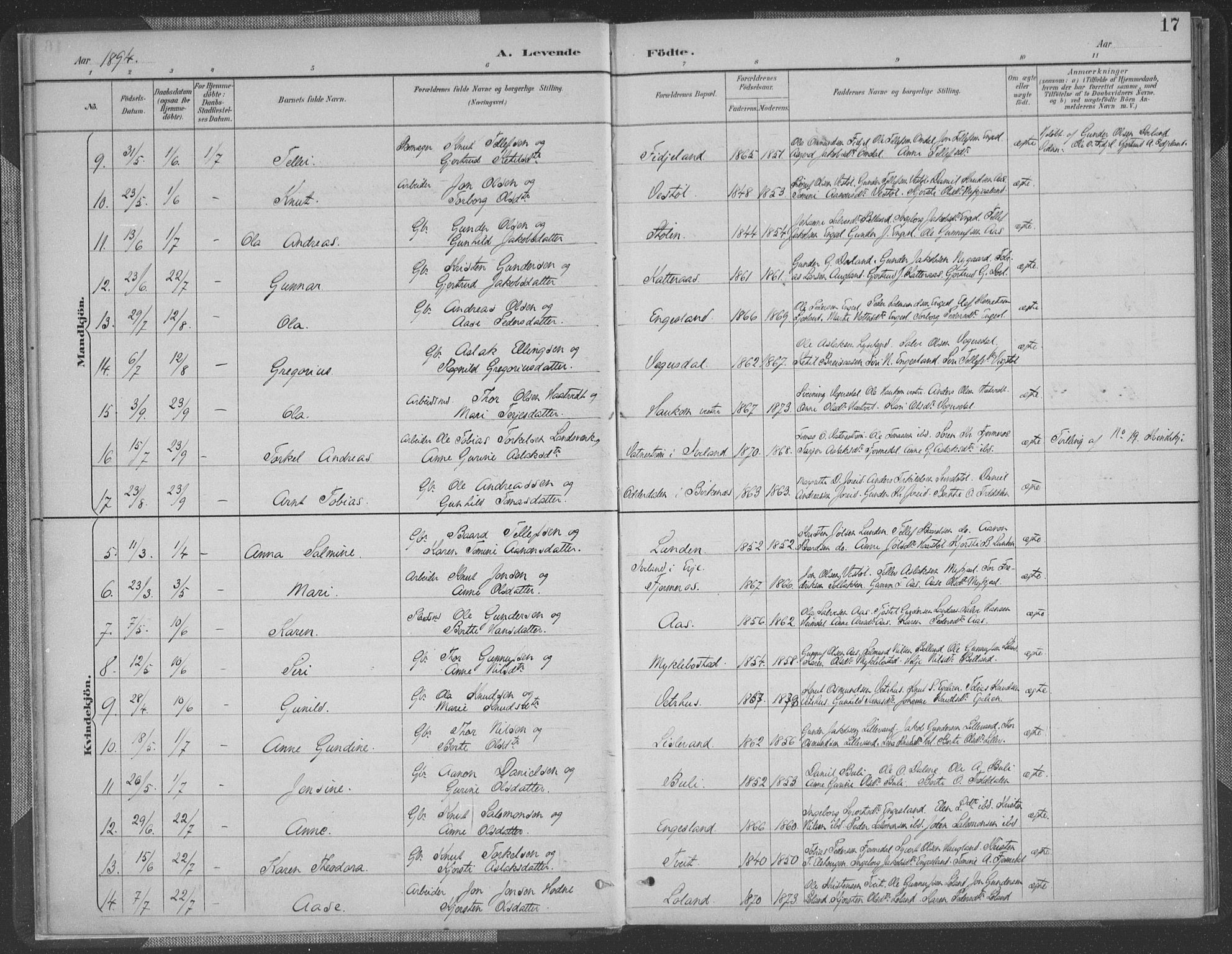 Herefoss sokneprestkontor, AV/SAK-1111-0019/F/Fa/Fab/L0004: Parish register (official) no. A 4, 1887-1909, p. 17