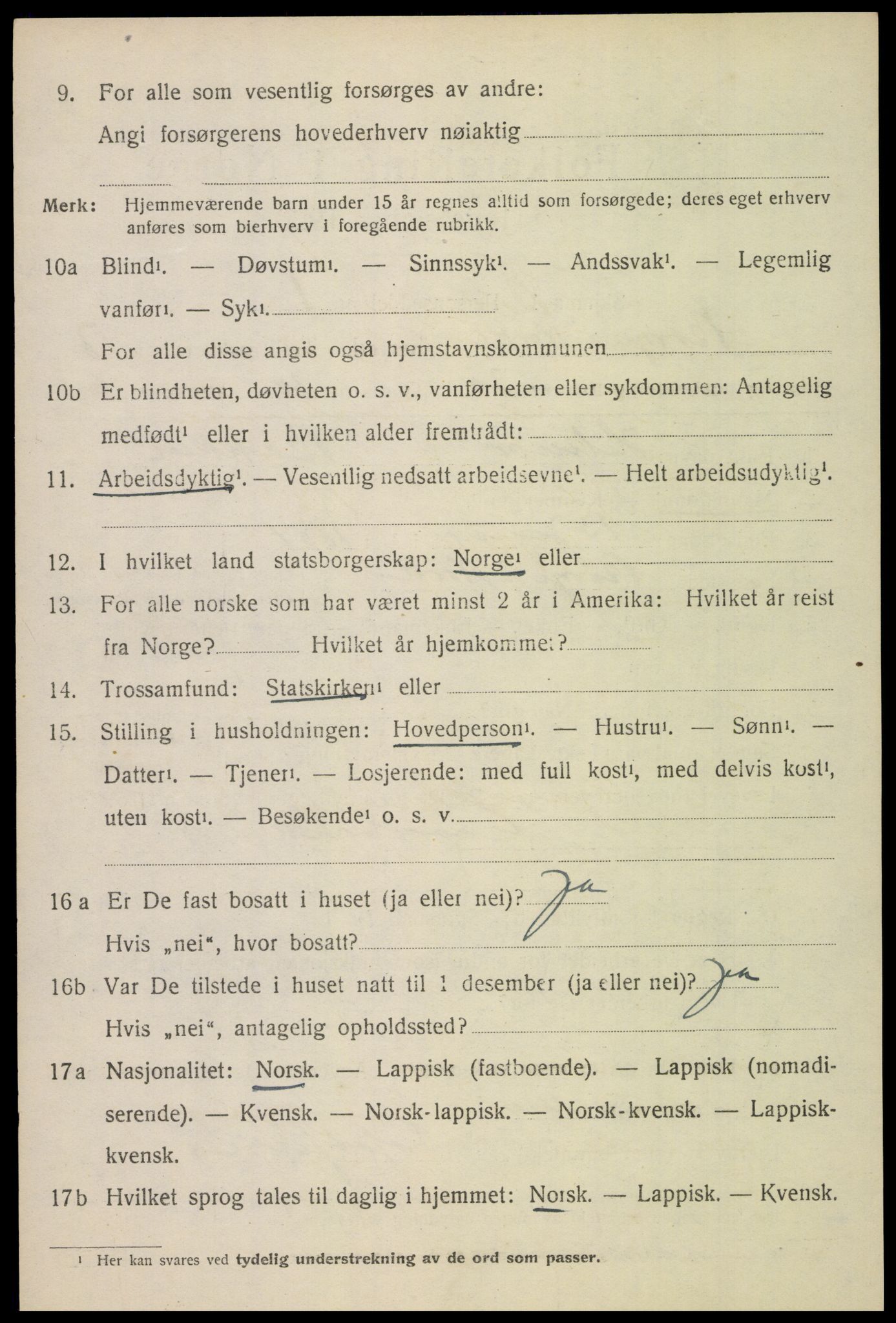 SAT, 1920 census for Borge, 1920, p. 6738