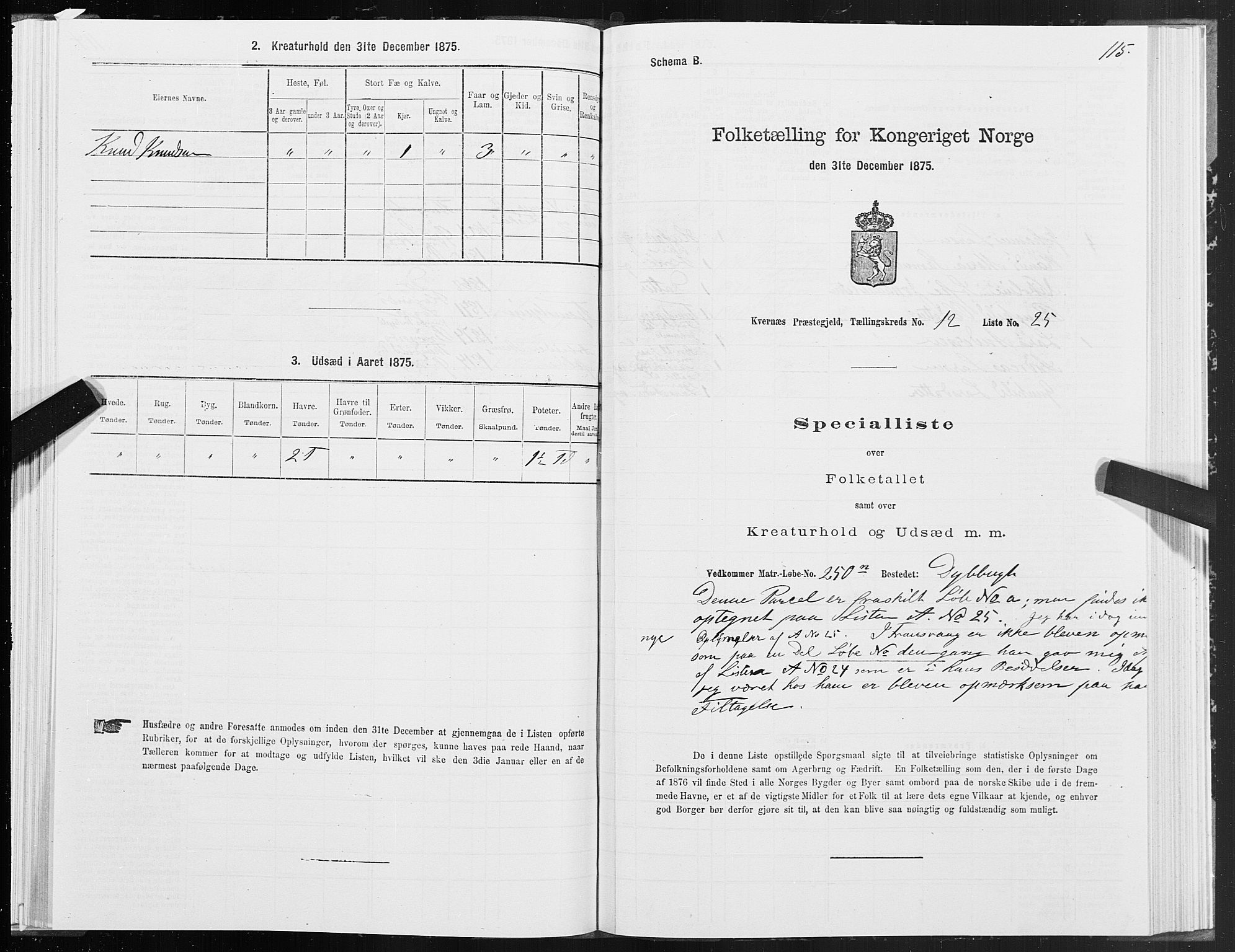 SAT, 1875 census for 1553P Kvernes, 1875, p. 6115