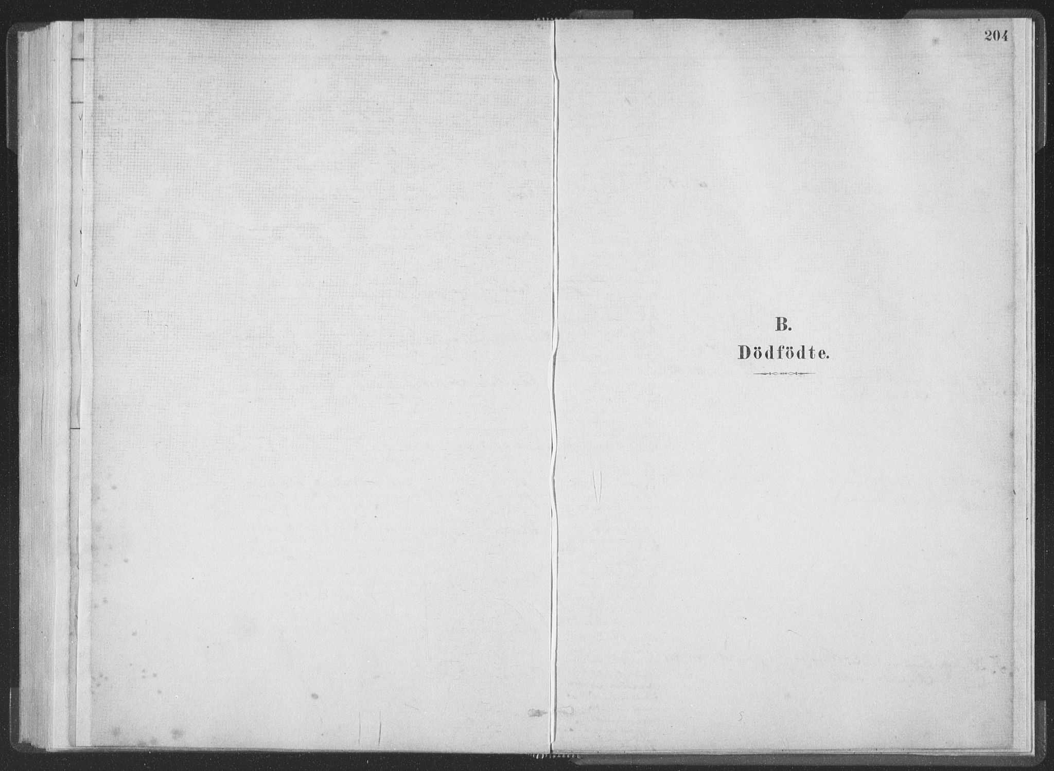 Ministerialprotokoller, klokkerbøker og fødselsregistre - Møre og Romsdal, SAT/A-1454/528/L0401: Parish register (official) no. 528A12I, 1880-1920, p. 204