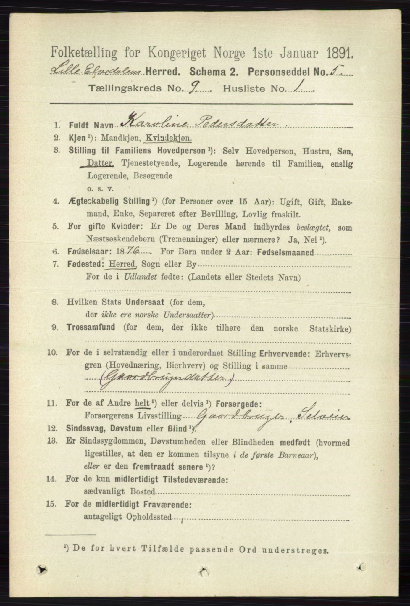 RA, 1891 census for 0438 Lille Elvedalen, 1891, p. 2805