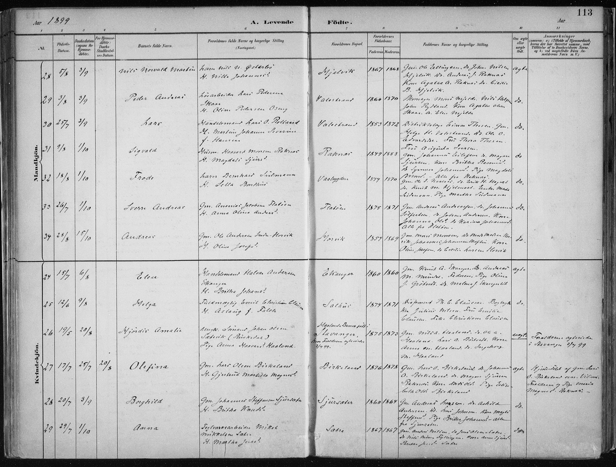 Hamre sokneprestembete, AV/SAB-A-75501/H/Ha/Haa/Haab/L0001: Parish register (official) no. B  1, 1882-1905, p. 113