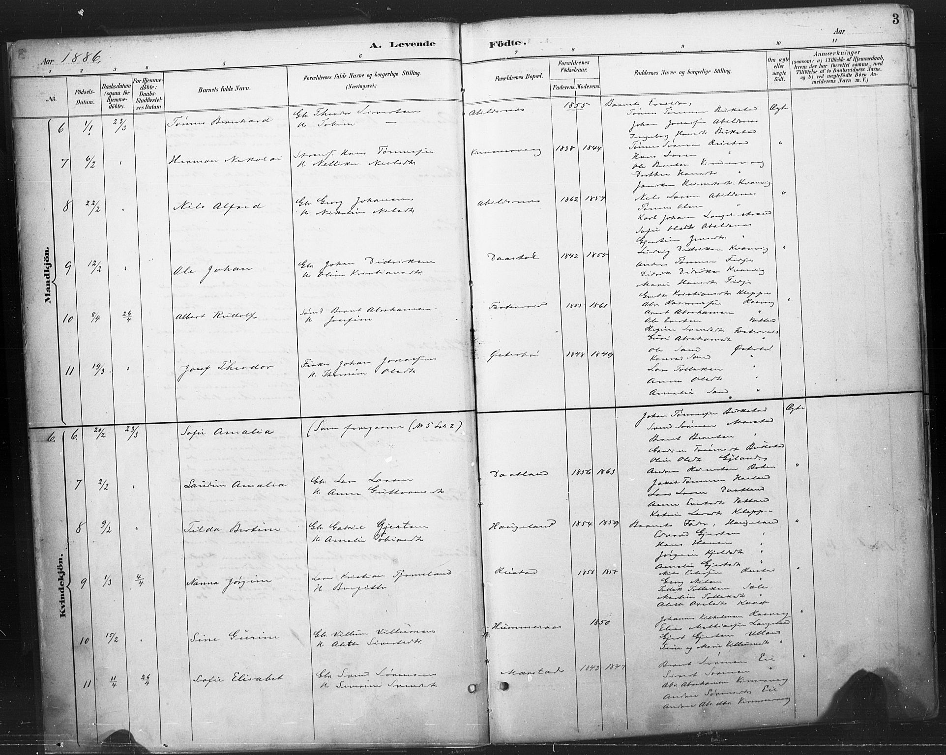 Flekkefjord sokneprestkontor, AV/SAK-1111-0012/F/Fa/Fab/L0006: Parish register (official) no. A 6, 1886-1901, p. 3