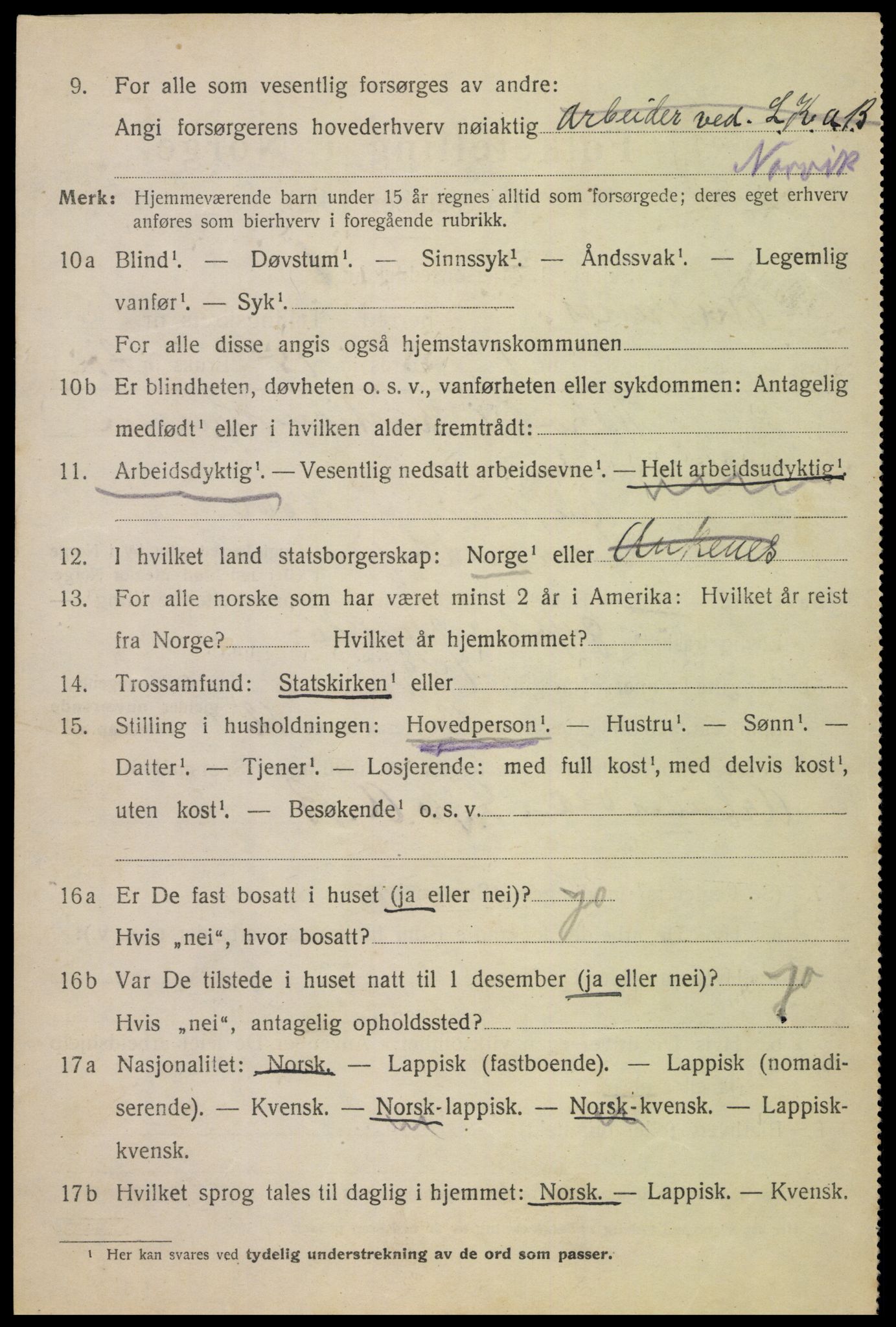 SAT, 1920 census for Ankenes, 1920, p. 4916