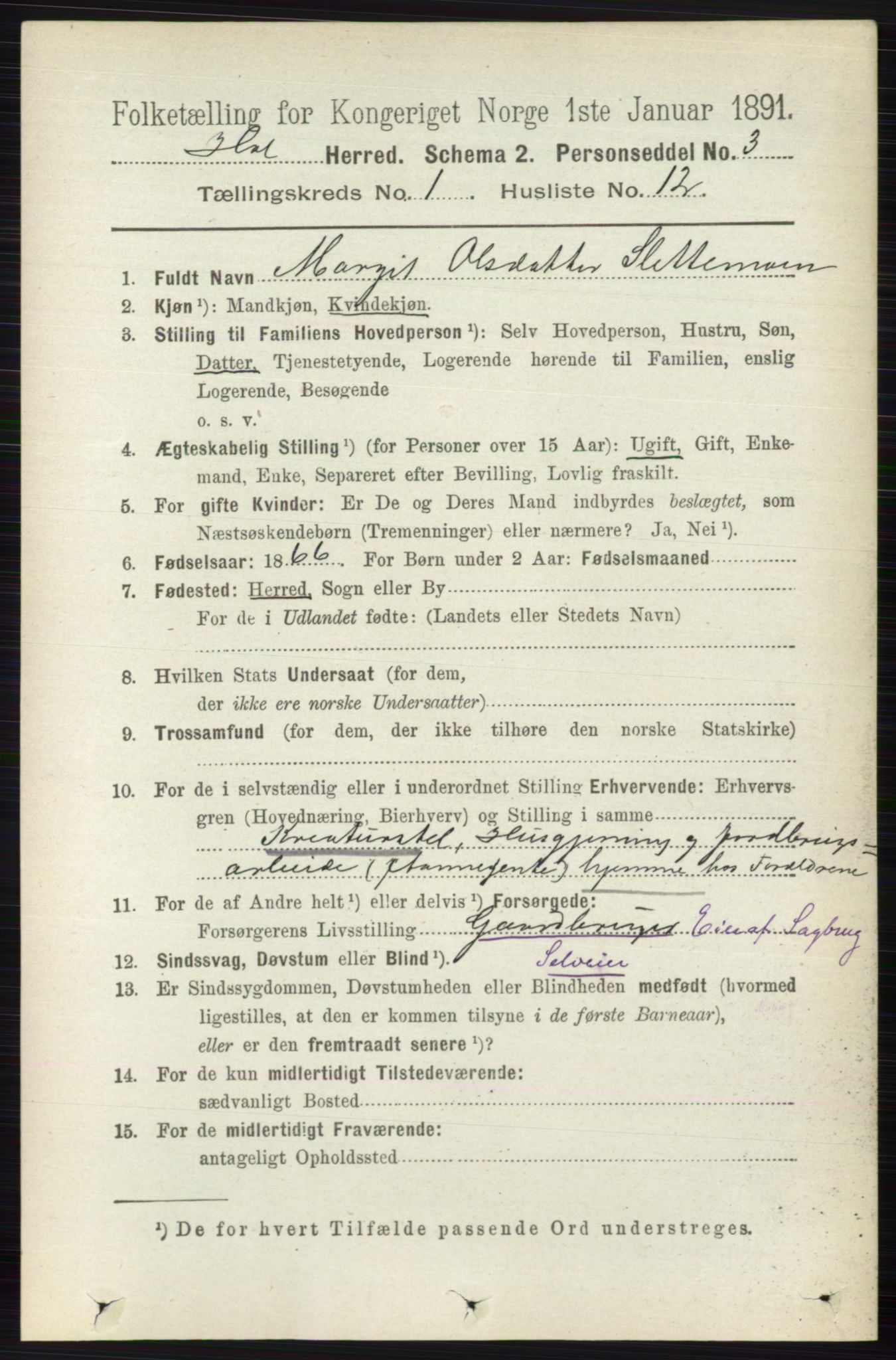 RA, 1891 census for 0620 Hol, 1891, p. 126