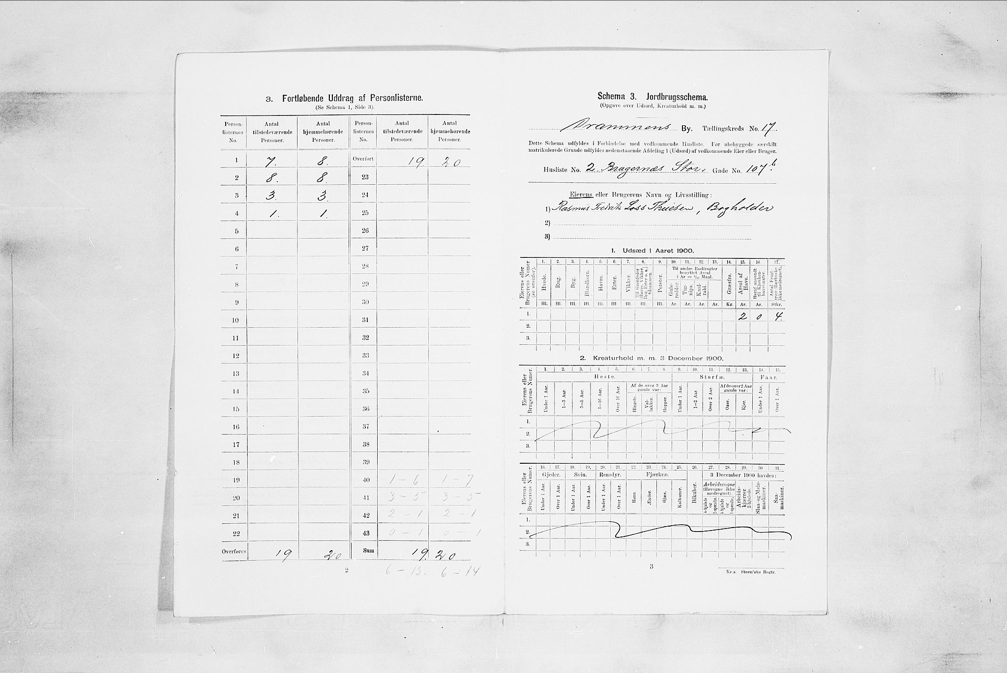 RA, 1900 census for Drammen, 1900, p. 3100