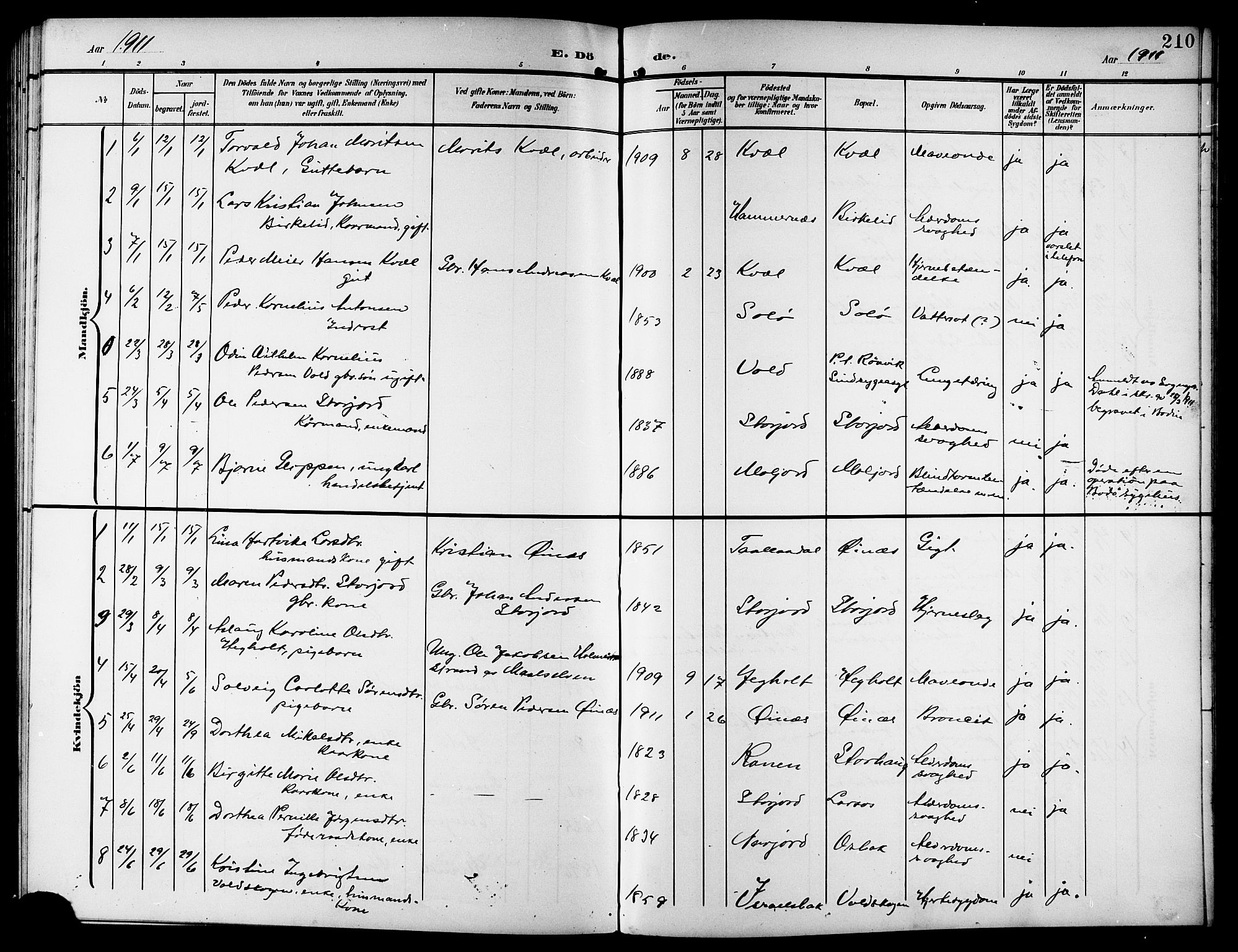 Ministerialprotokoller, klokkerbøker og fødselsregistre - Nordland, AV/SAT-A-1459/846/L0655: Parish register (copy) no. 846C05, 1902-1916, p. 210