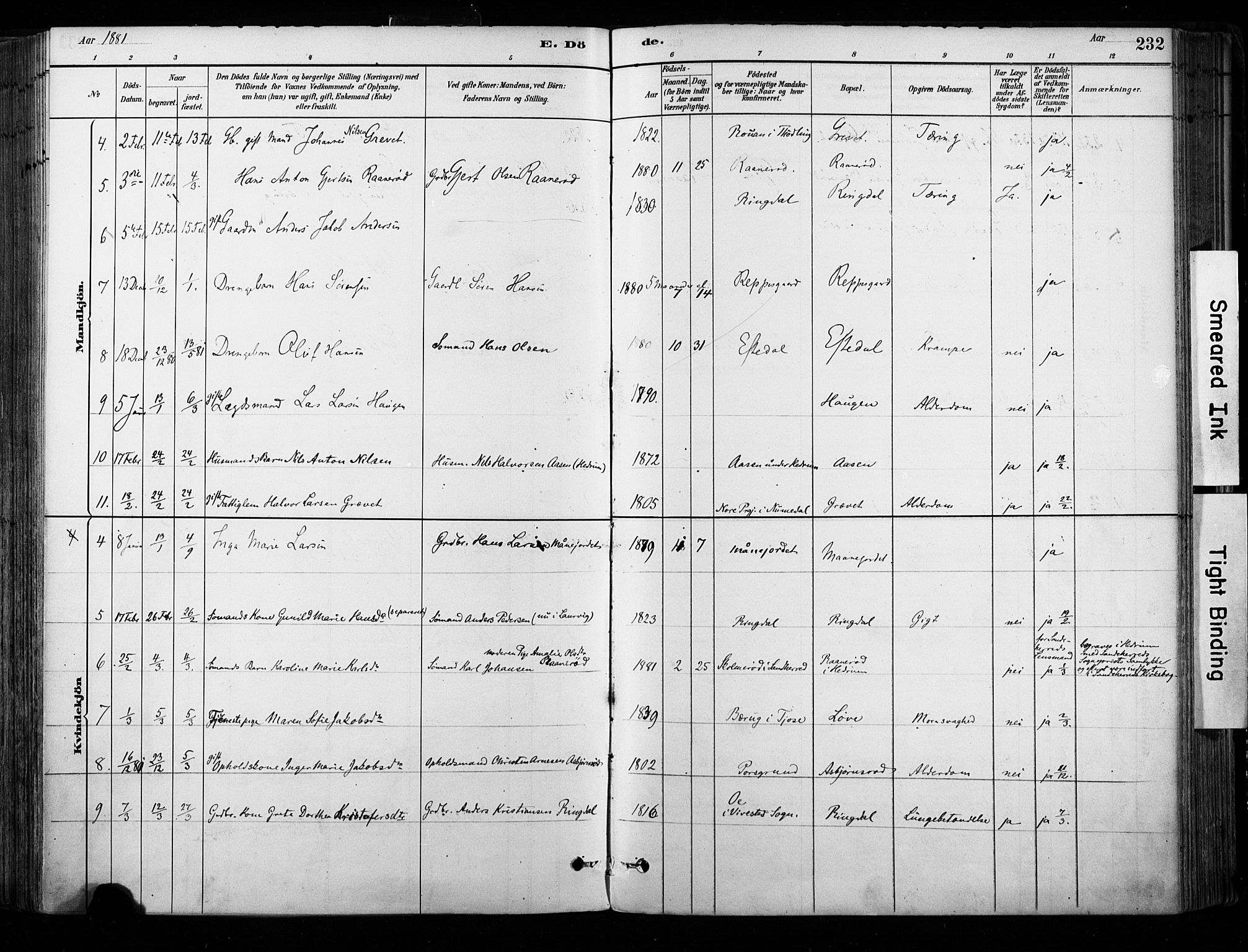 Hedrum kirkebøker, AV/SAKO-A-344/F/Fa/L0009: Parish register (official) no. I 9, 1881-1903, p. 232