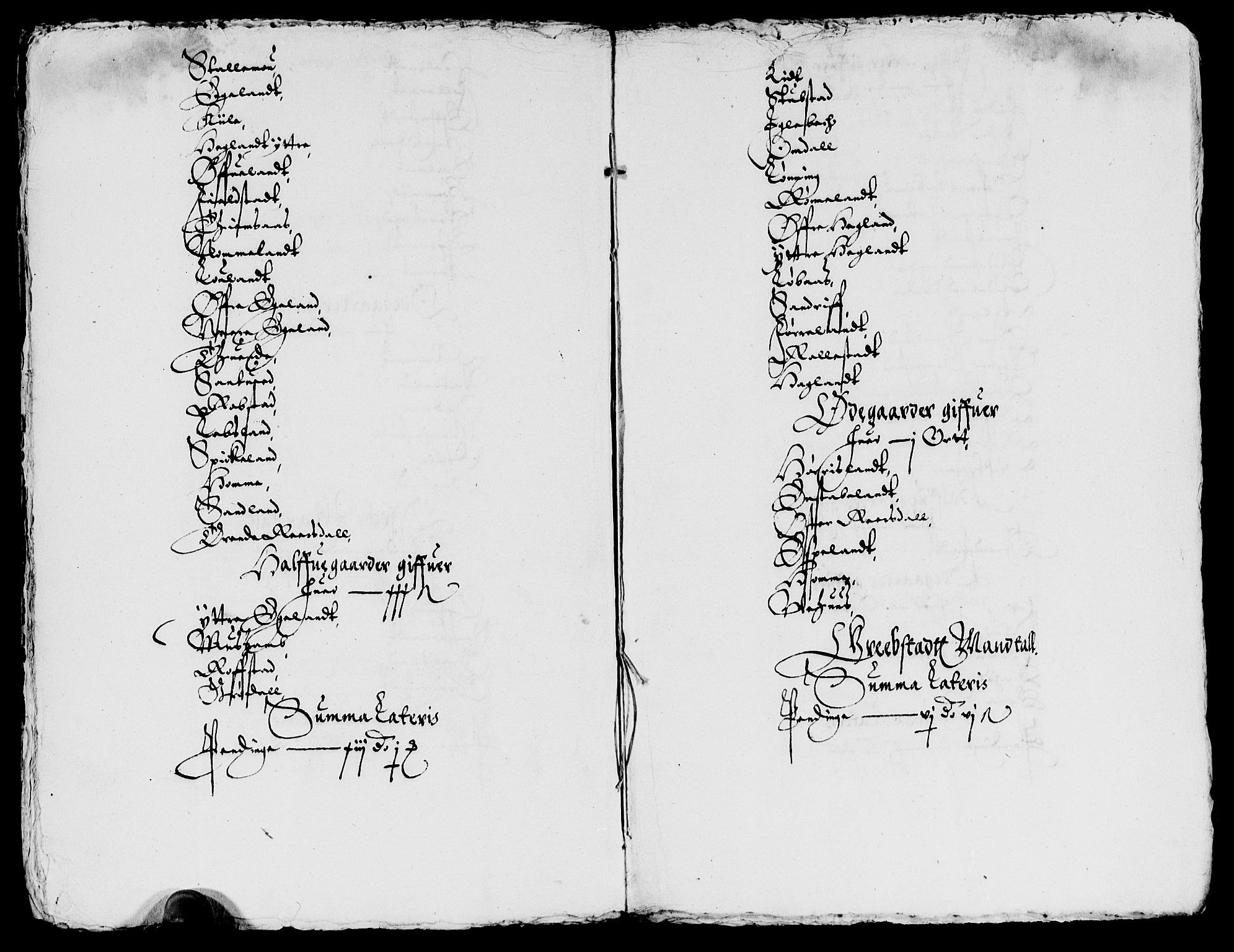 Rentekammeret inntil 1814, Reviderte regnskaper, Lensregnskaper, AV/RA-EA-5023/R/Rb/Rbq/L0019: Nedenes len. Mandals len. Råbyggelag., 1629-1630