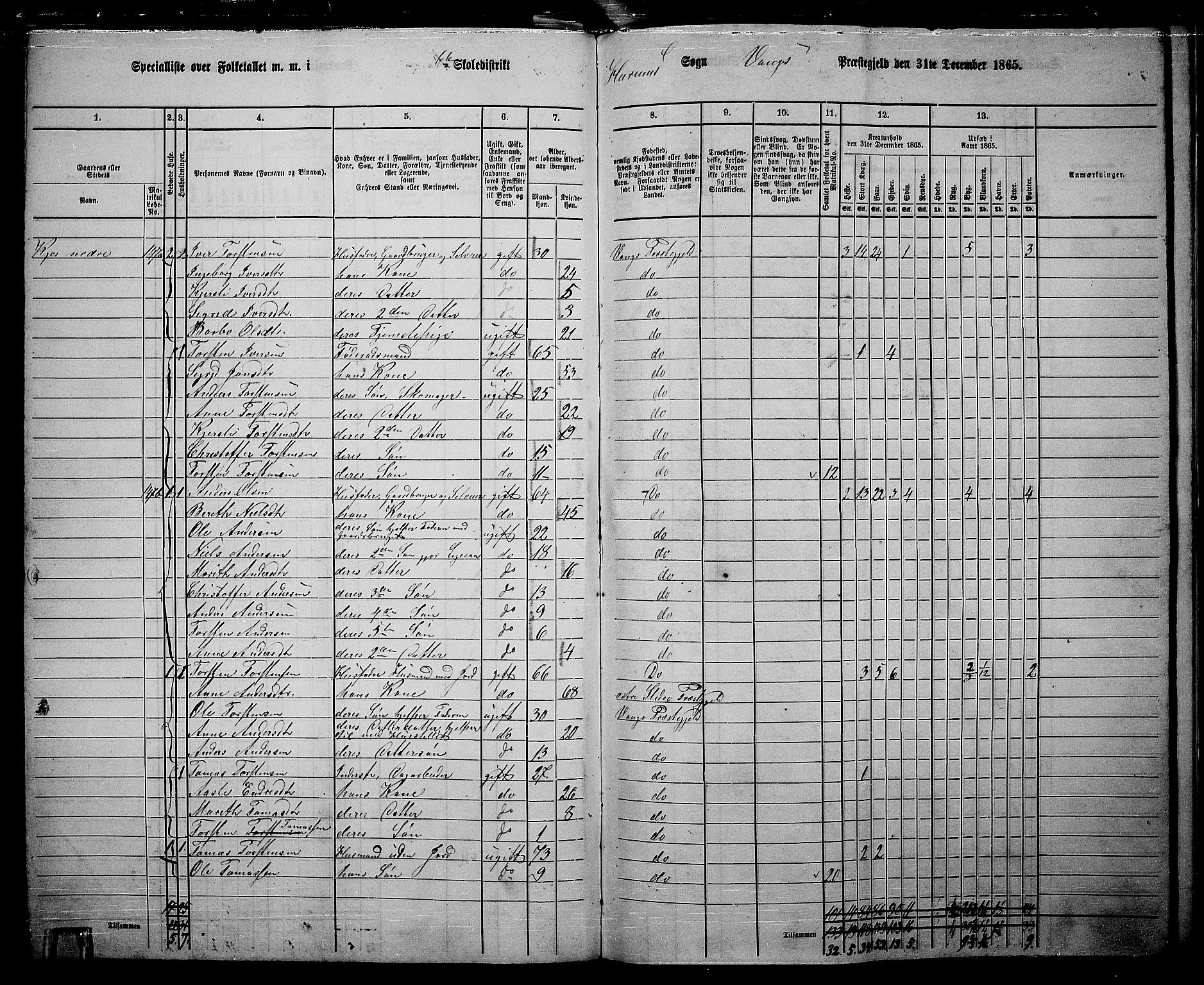 RA, 1865 census for Vang, 1865, p. 101