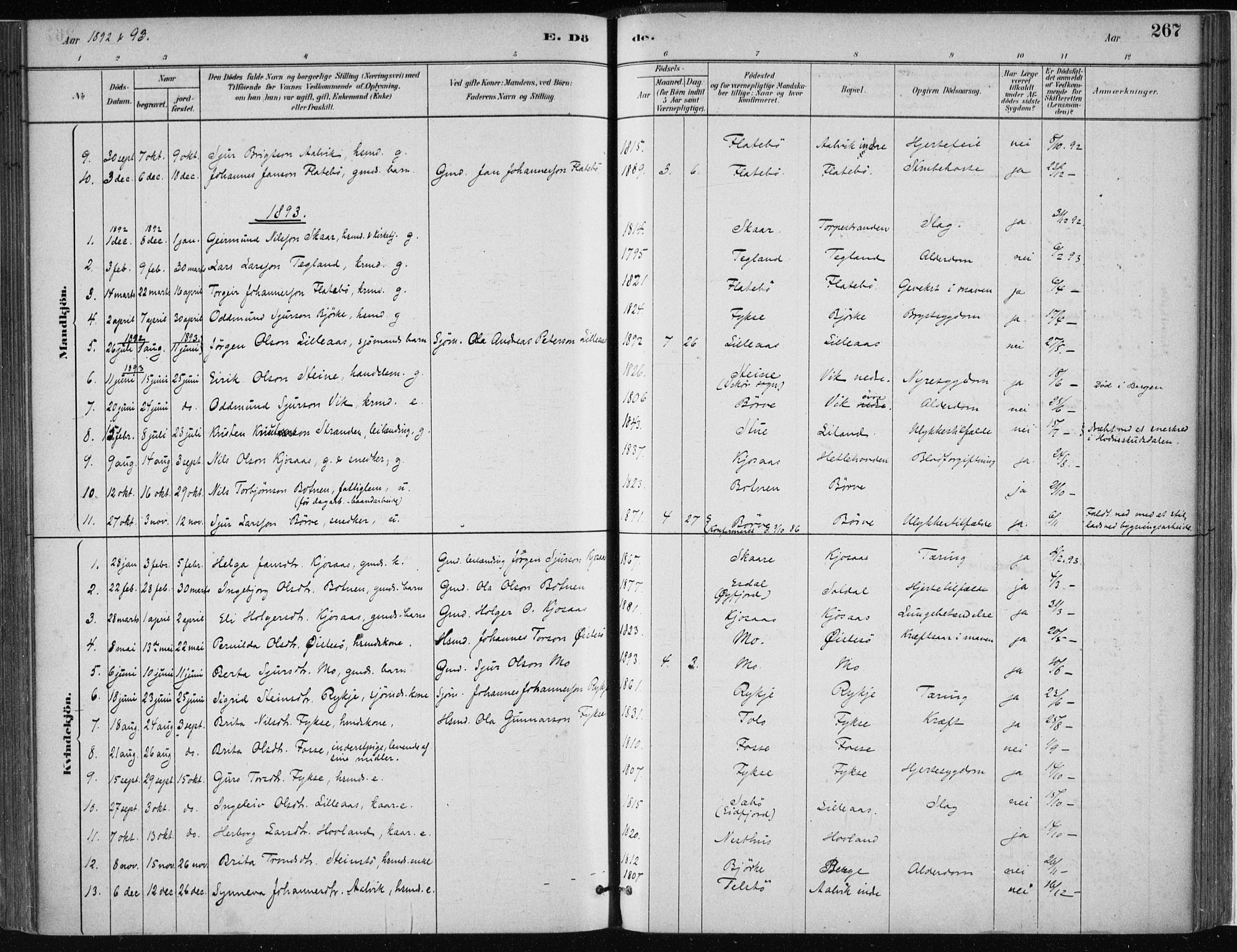 Kvam sokneprestembete, SAB/A-76201/H/Haa: Parish register (official) no. C  1, 1880-1906, p. 267