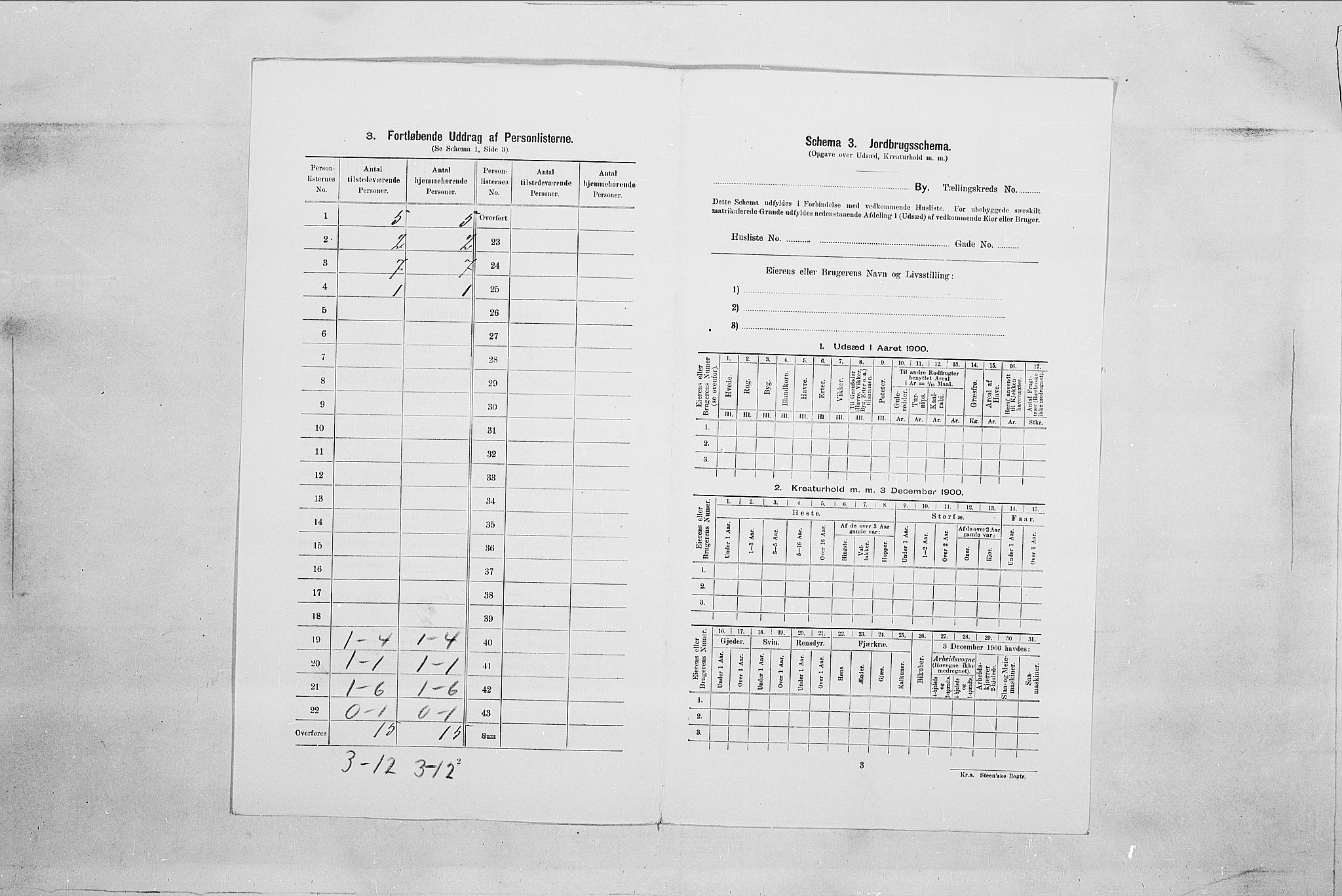 SAO, 1900 census for Fredrikshald, 1900