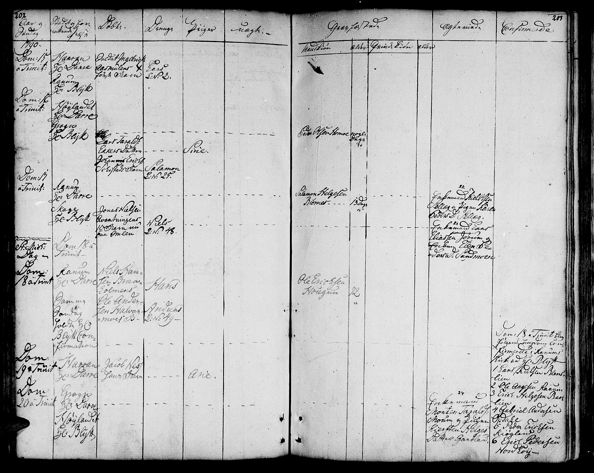 Ministerialprotokoller, klokkerbøker og fødselsregistre - Nord-Trøndelag, AV/SAT-A-1458/764/L0544: Parish register (official) no. 764A04, 1780-1798, p. 202-203