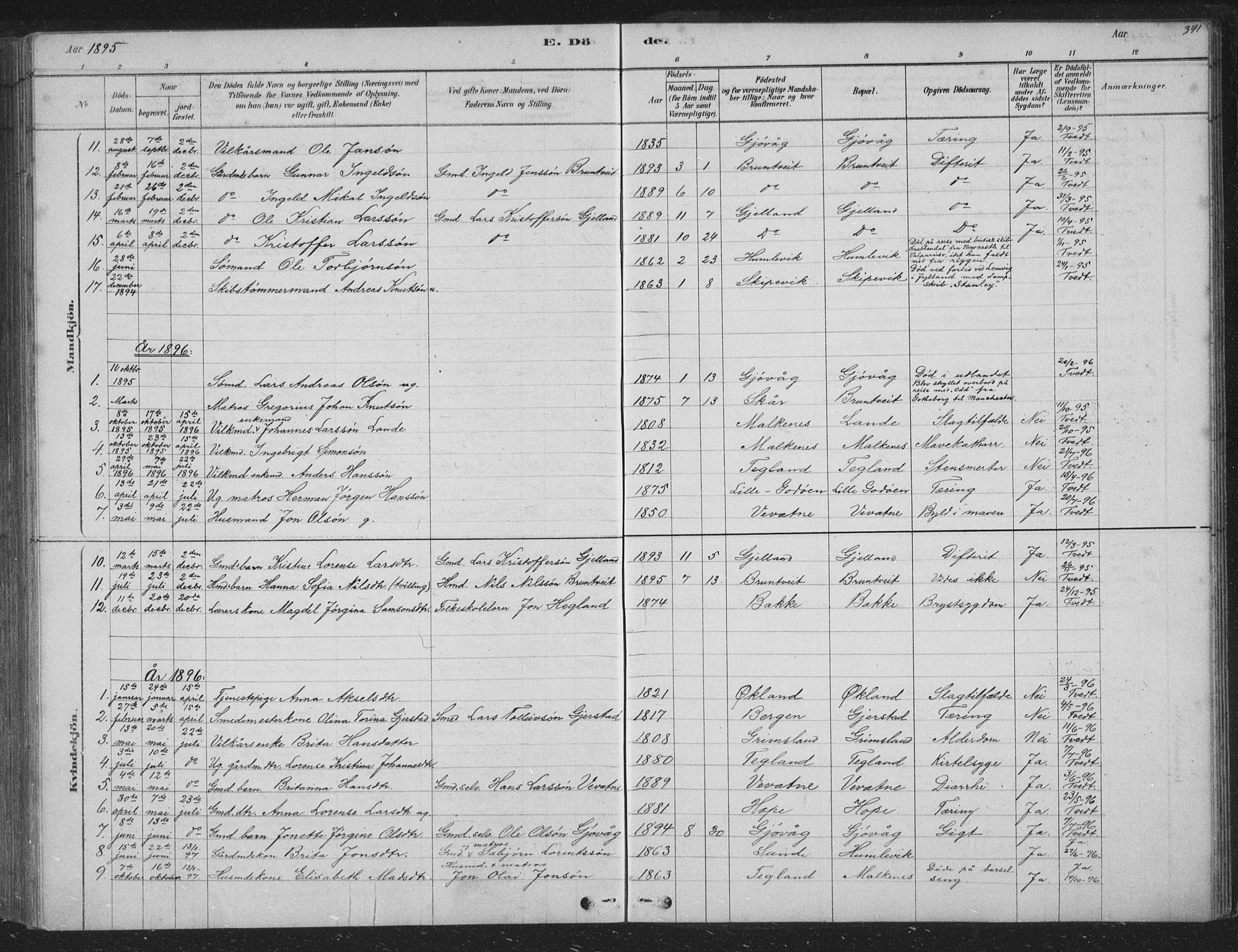 Tysnes sokneprestembete, AV/SAB-A-78601/H/Hab: Parish register (copy) no. B 2, 1878-1918, p. 341