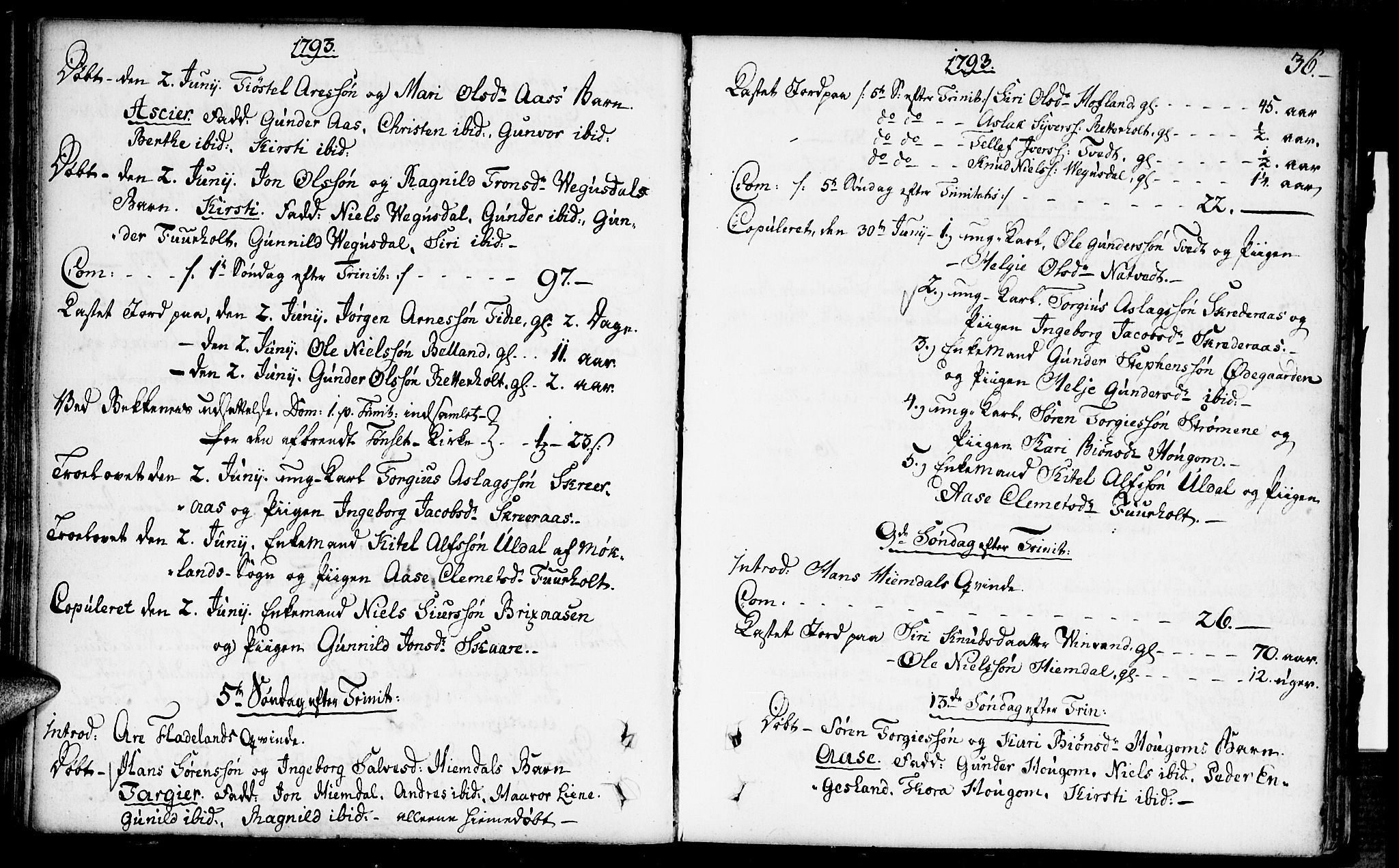 Herefoss sokneprestkontor, AV/SAK-1111-0019/F/Fa/Fab/L0002: Parish register (official) no. A 2, 1780-1816, p. 36