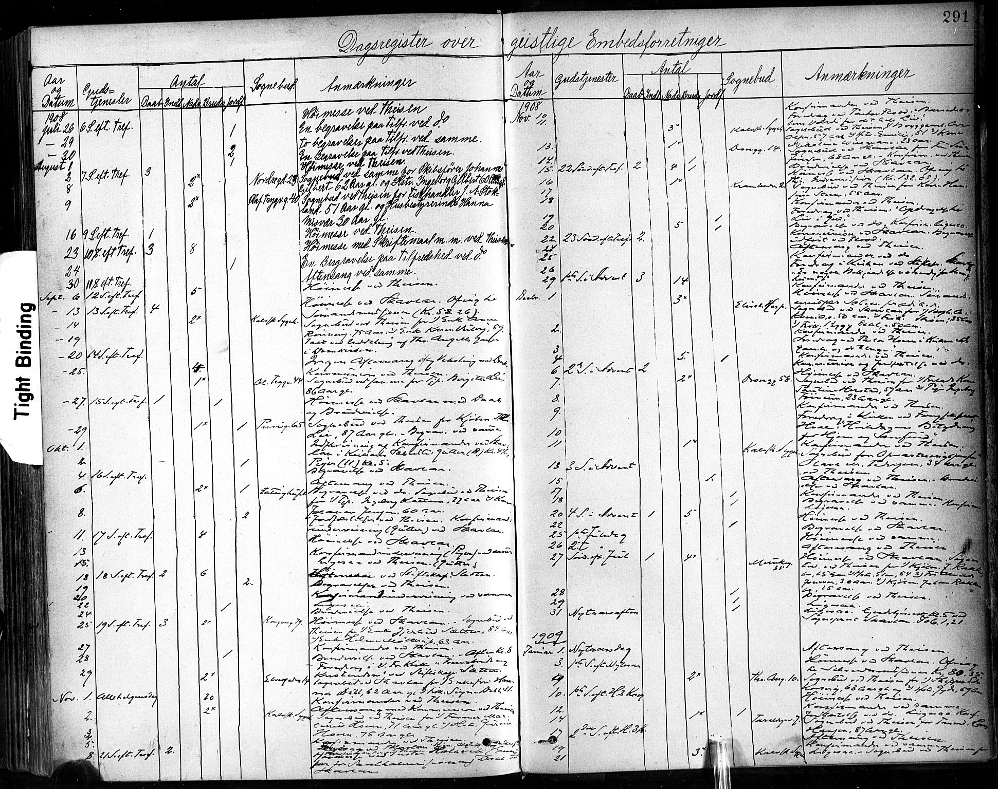 Ministerialprotokoller, klokkerbøker og fødselsregistre - Sør-Trøndelag, SAT/A-1456/602/L0120: Parish register (official) no. 602A18, 1880-1913, p. 291