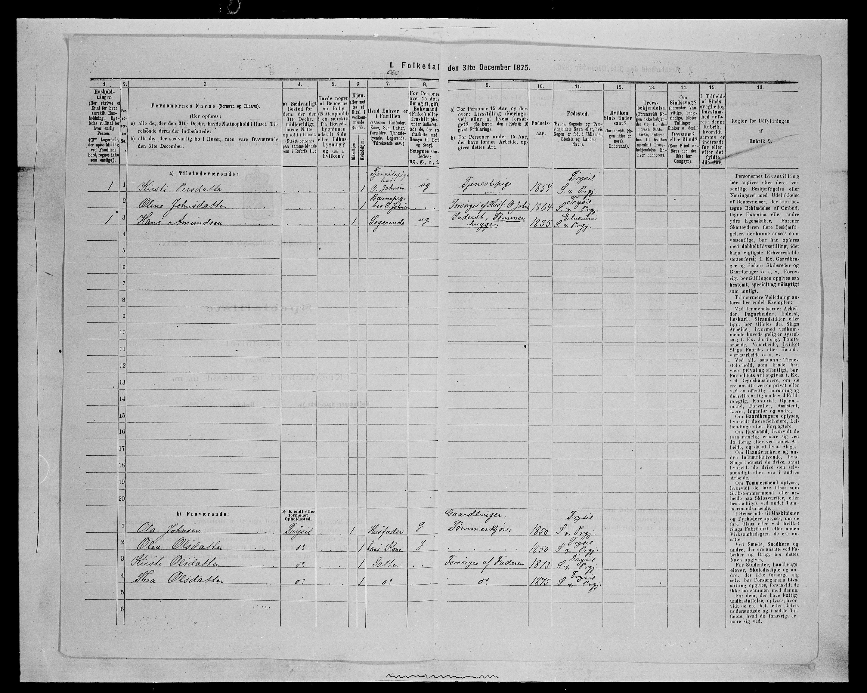 SAH, 1875 census for 0428P Trysil, 1875, p. 1238