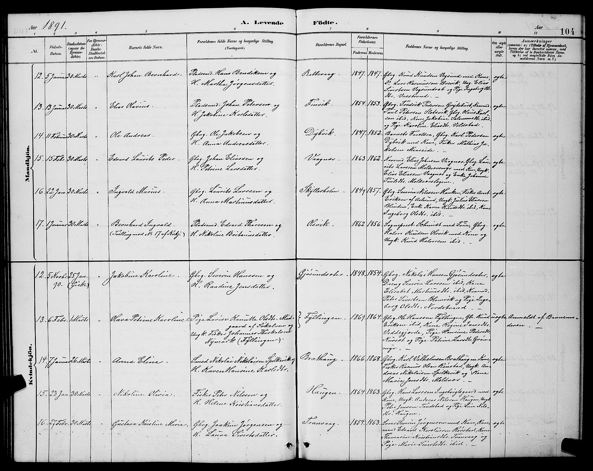 Ministerialprotokoller, klokkerbøker og fødselsregistre - Møre og Romsdal, AV/SAT-A-1454/528/L0431: Parish register (copy) no. 528C12, 1885-1898, p. 104