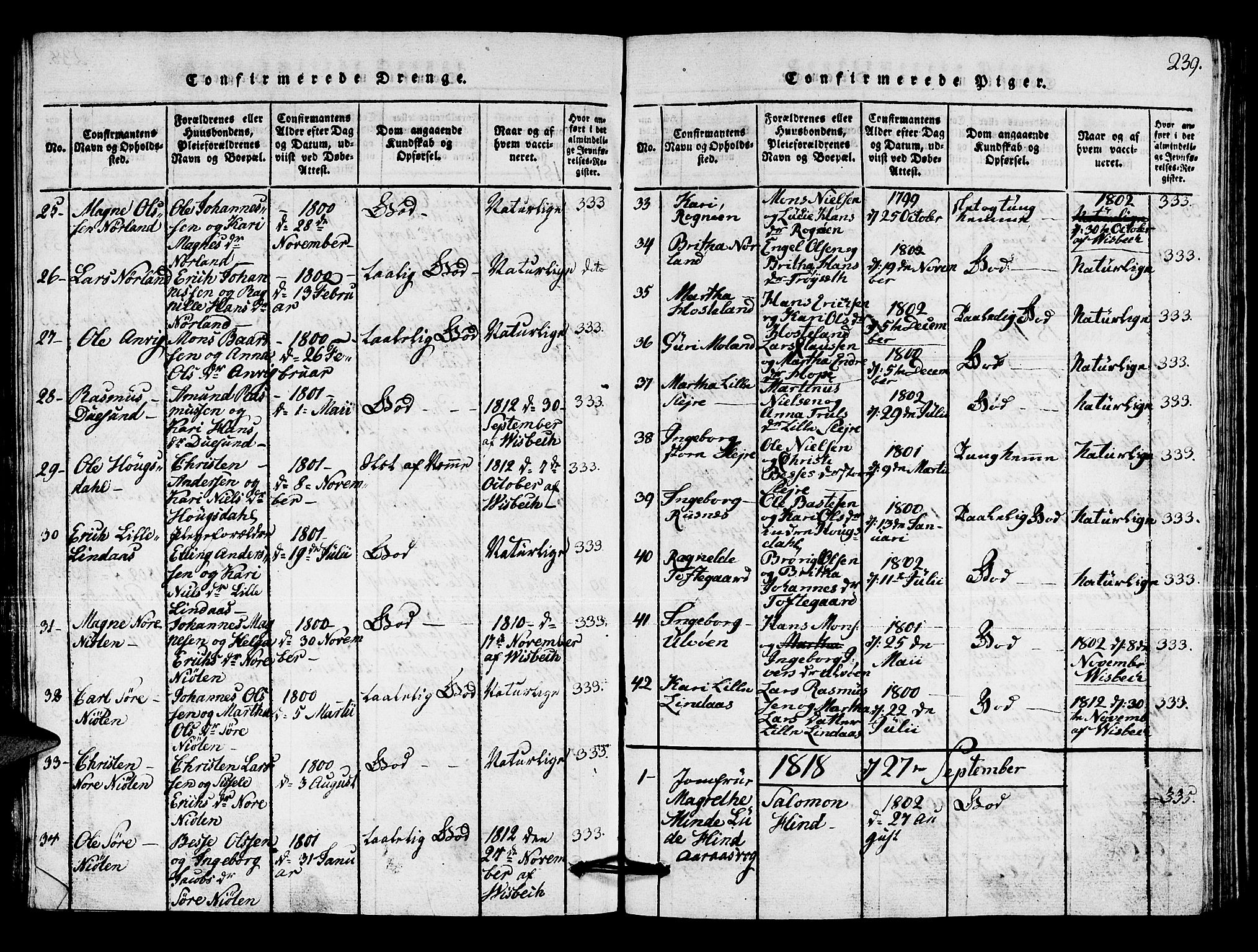 Lindås Sokneprestembete, AV/SAB-A-76701/H/Hab/Haba/L0001: Parish register (copy) no. A 1, 1816-1823, p. 239