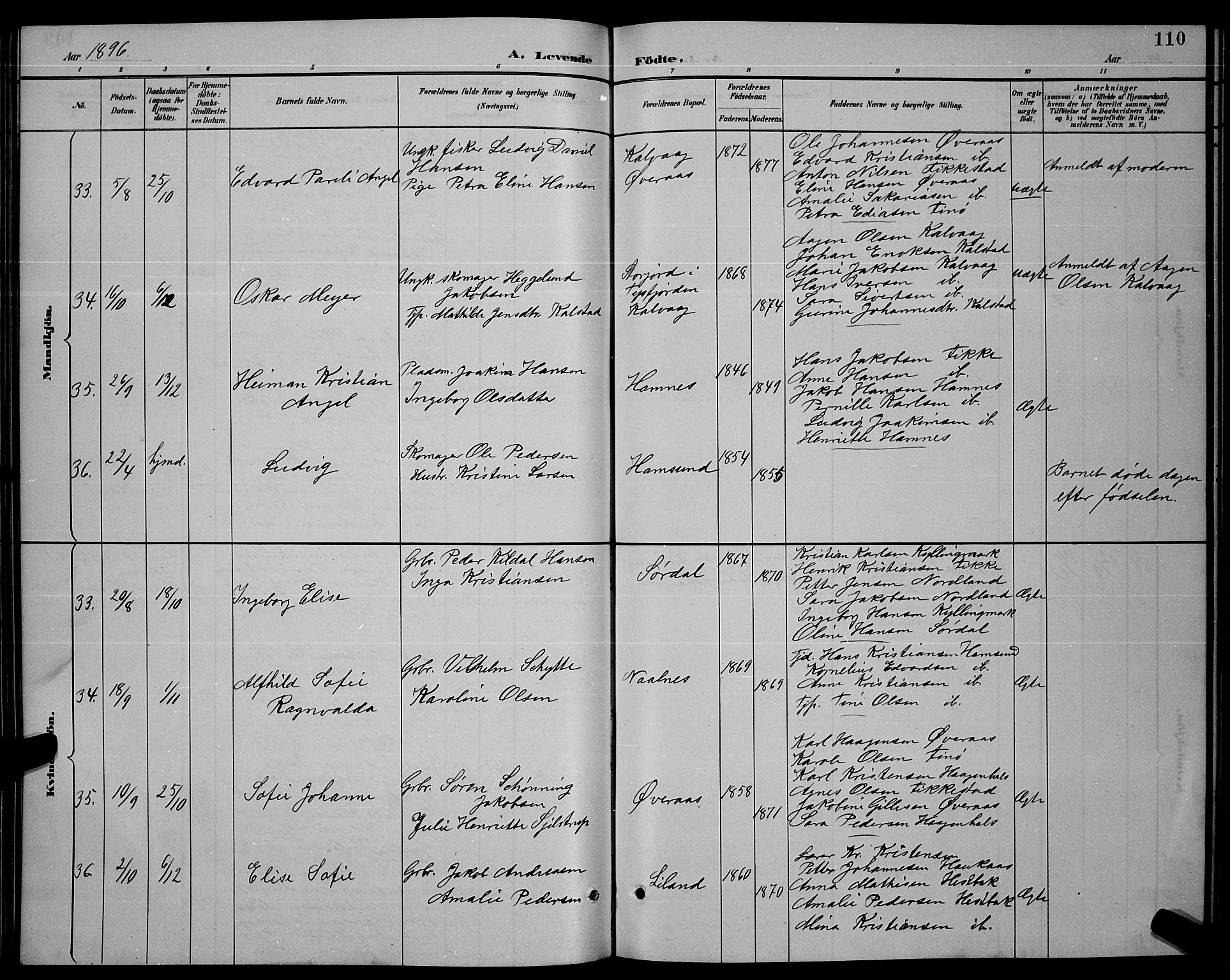 Ministerialprotokoller, klokkerbøker og fødselsregistre - Nordland, SAT/A-1459/859/L0859: Parish register (copy) no. 859C05, 1887-1898, p. 110