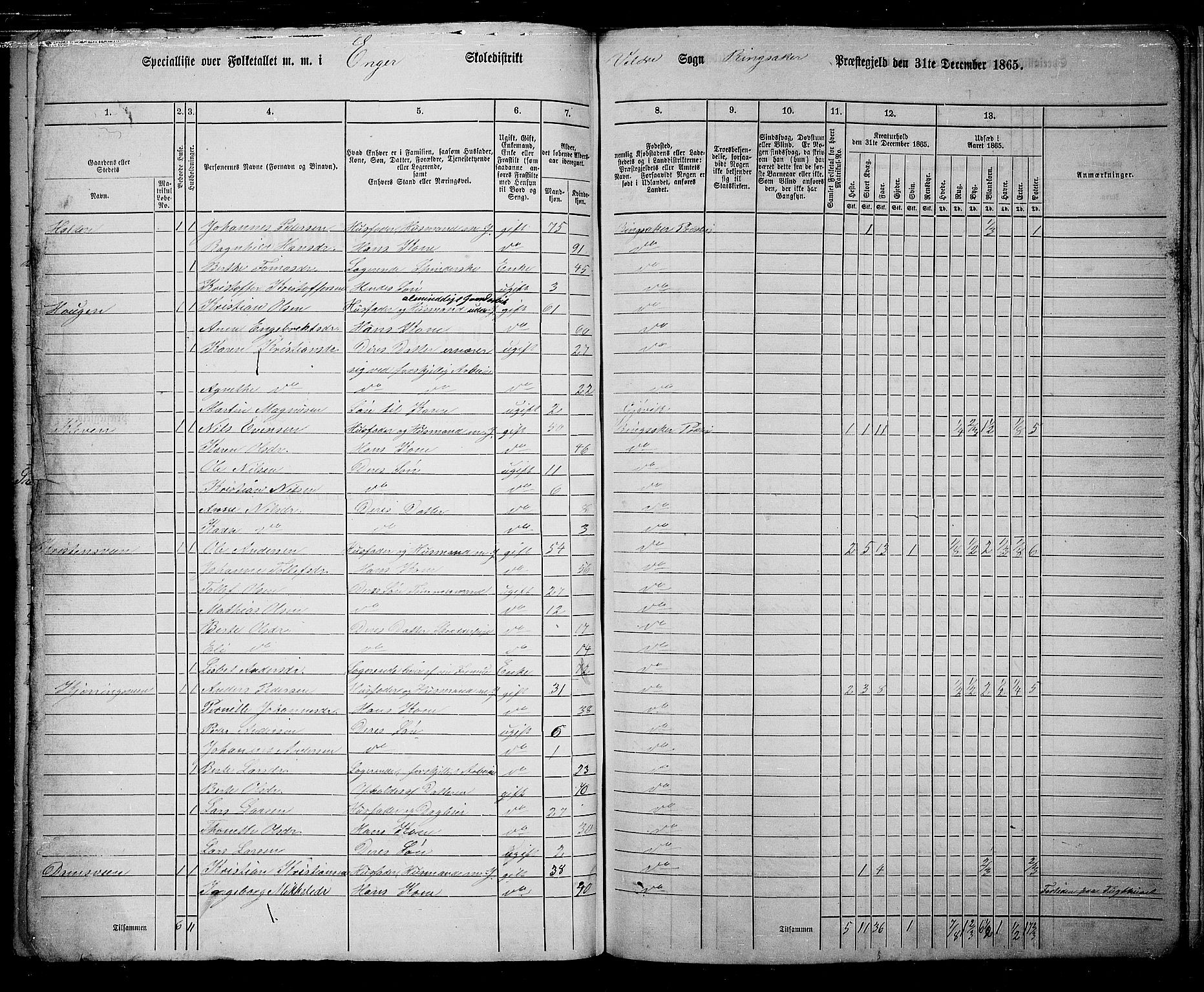 RA, 1865 census for Ringsaker, 1865, p. 244