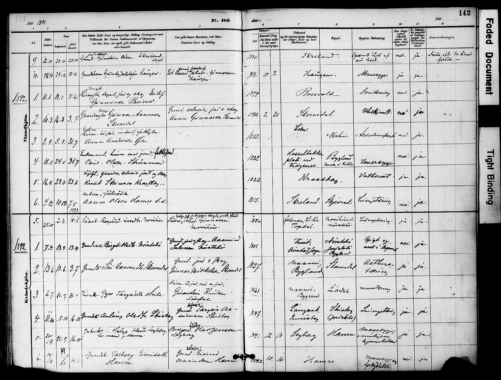 Bygland sokneprestkontor, AV/SAK-1111-0006/F/Fa/Fab/L0007: Parish register (official) no. A 7, 1885-1909, p. 142