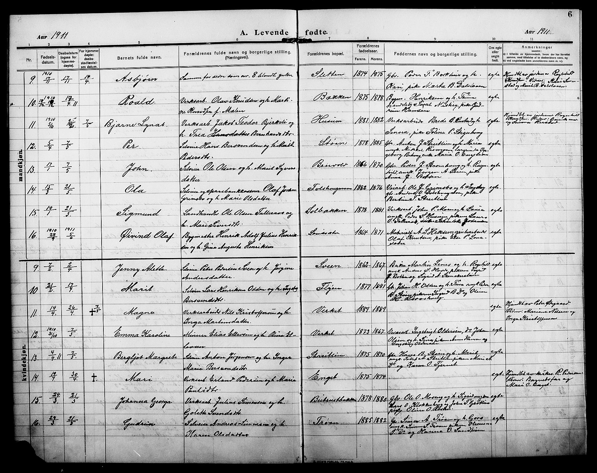 Alvdal prestekontor, AV/SAH-PREST-060/H/Ha/Hab/L0006: Parish register (copy) no. 6, 1910-1924, p. 6