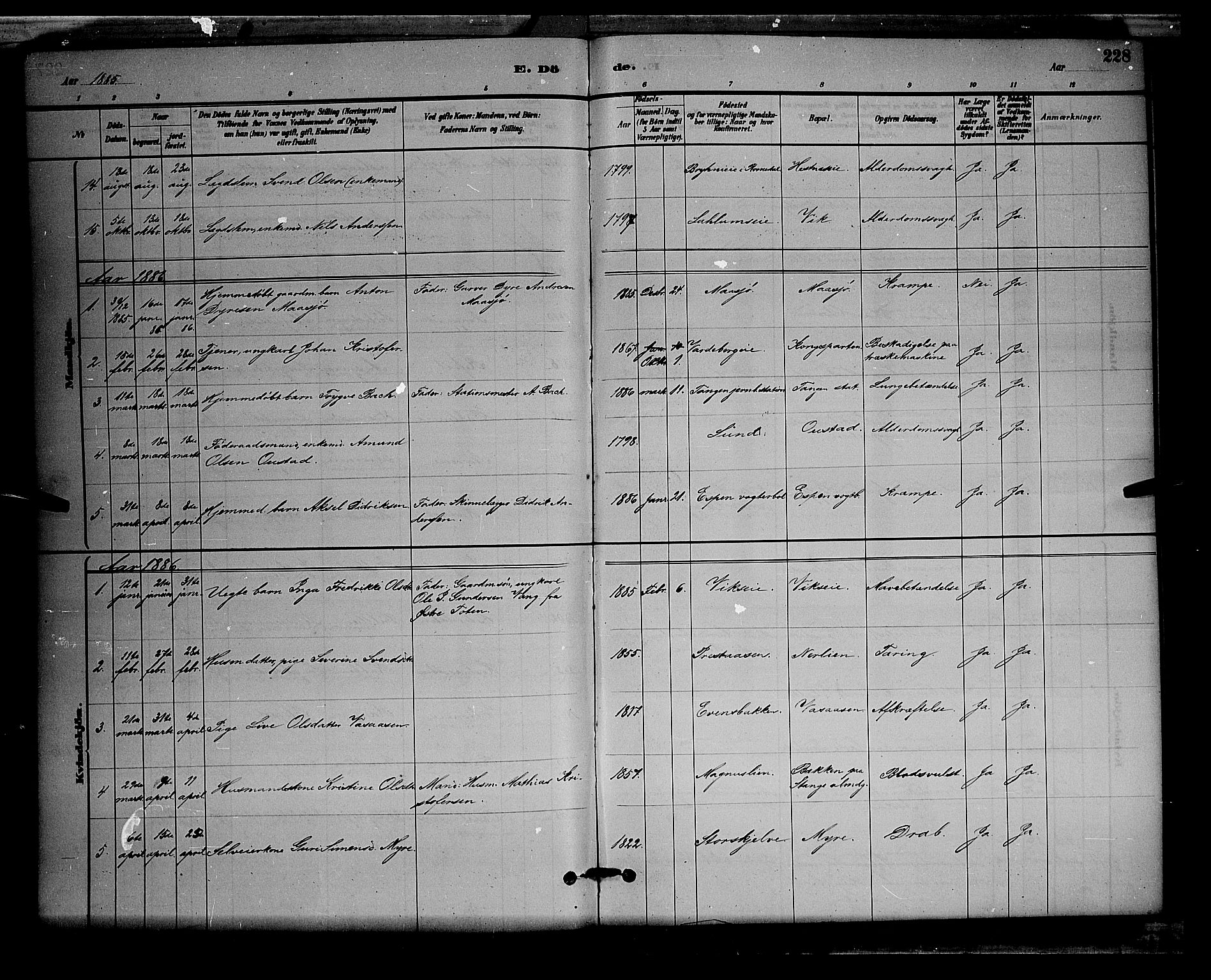 Stange prestekontor, AV/SAH-PREST-002/L/L0008: Parish register (copy) no. 8, 1882-1895, p. 228