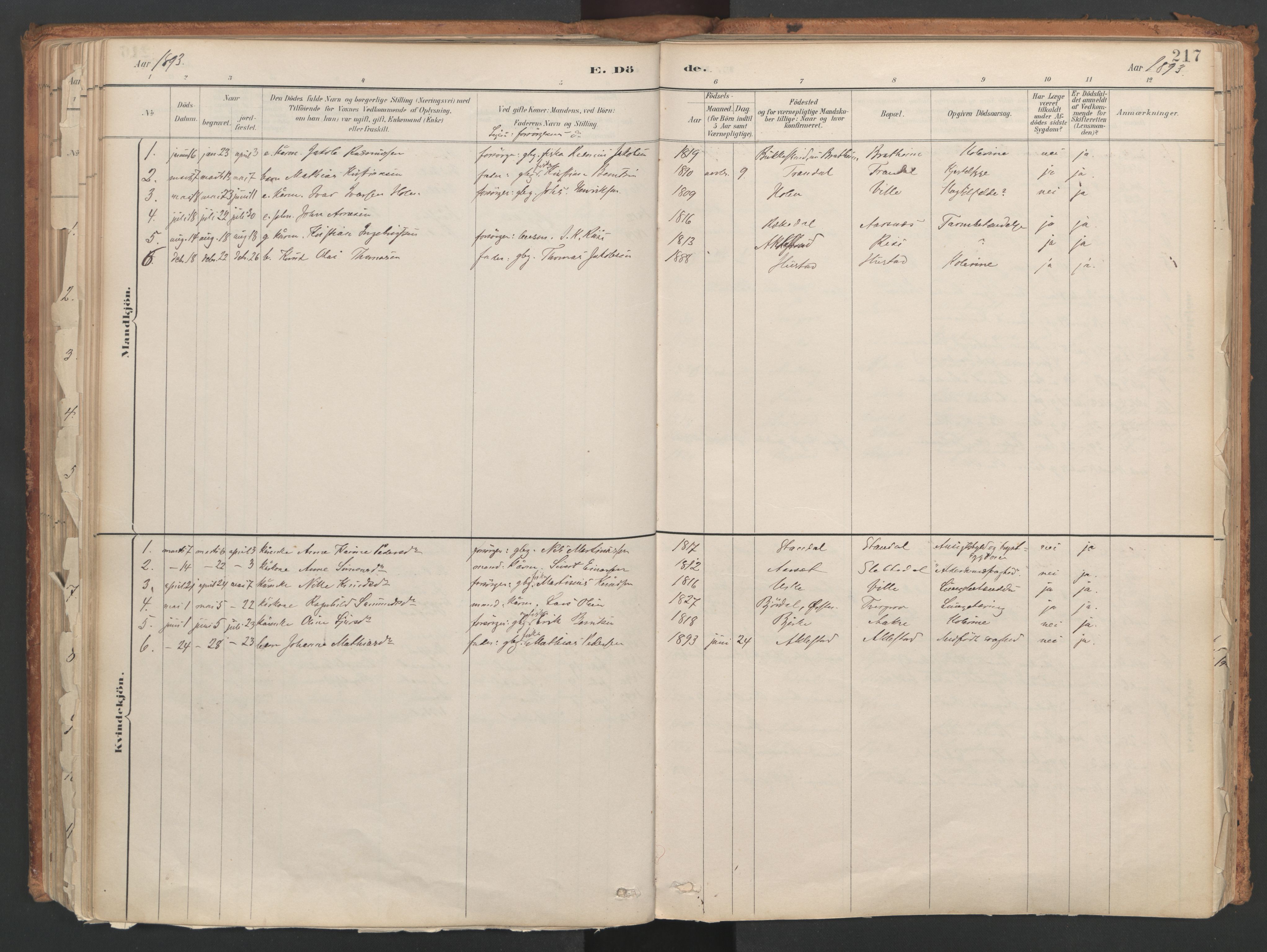 Ministerialprotokoller, klokkerbøker og fødselsregistre - Møre og Romsdal, AV/SAT-A-1454/515/L0211: Parish register (official) no. 515A07, 1886-1910, p. 217