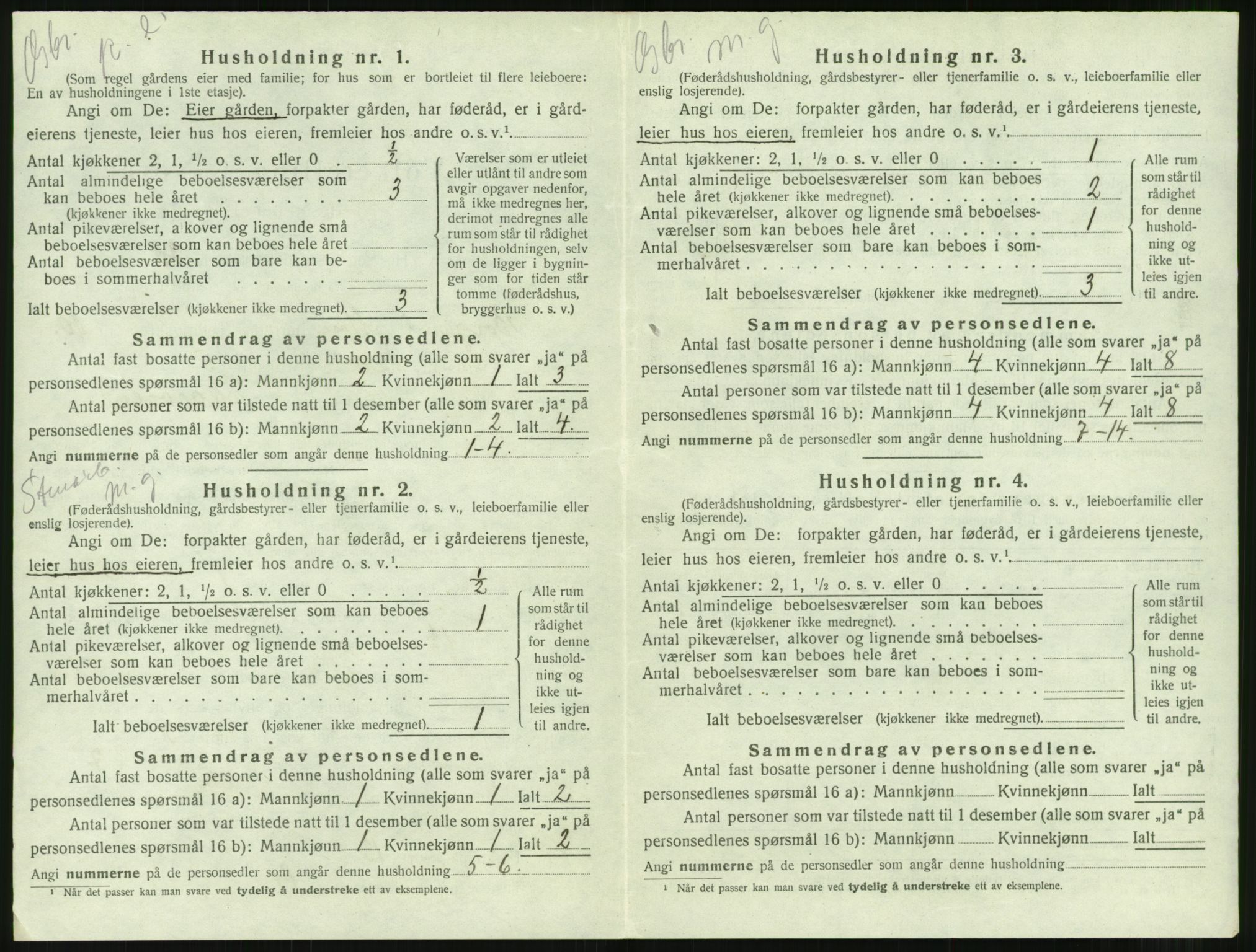 SAT, 1920 census for Borgund, 1920, p. 1113