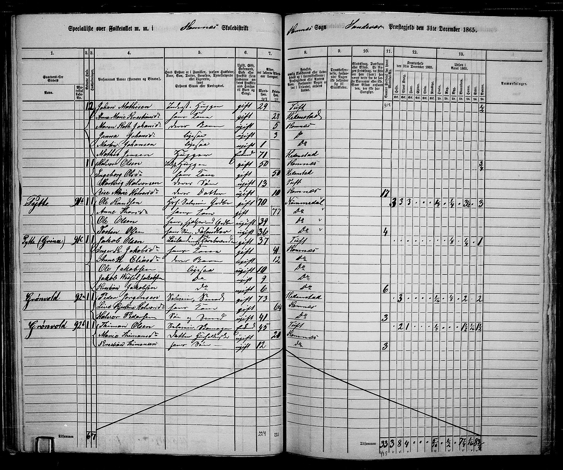 RA, 1865 census for Sandsvær, 1865, p. 41