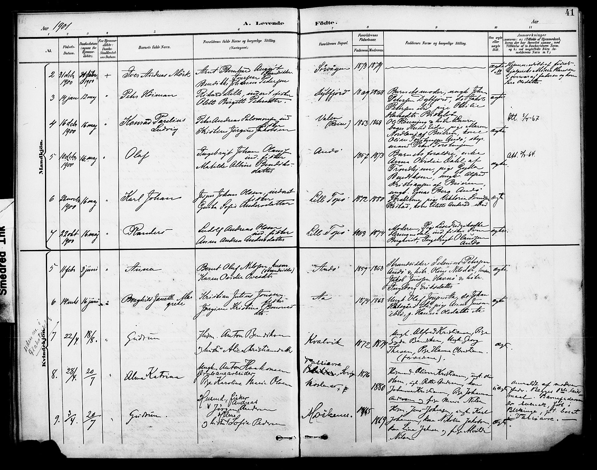 Ministerialprotokoller, klokkerbøker og fødselsregistre - Nordland, AV/SAT-A-1459/886/L1220: Parish register (official) no. 886A02, 1892-1903, p. 41