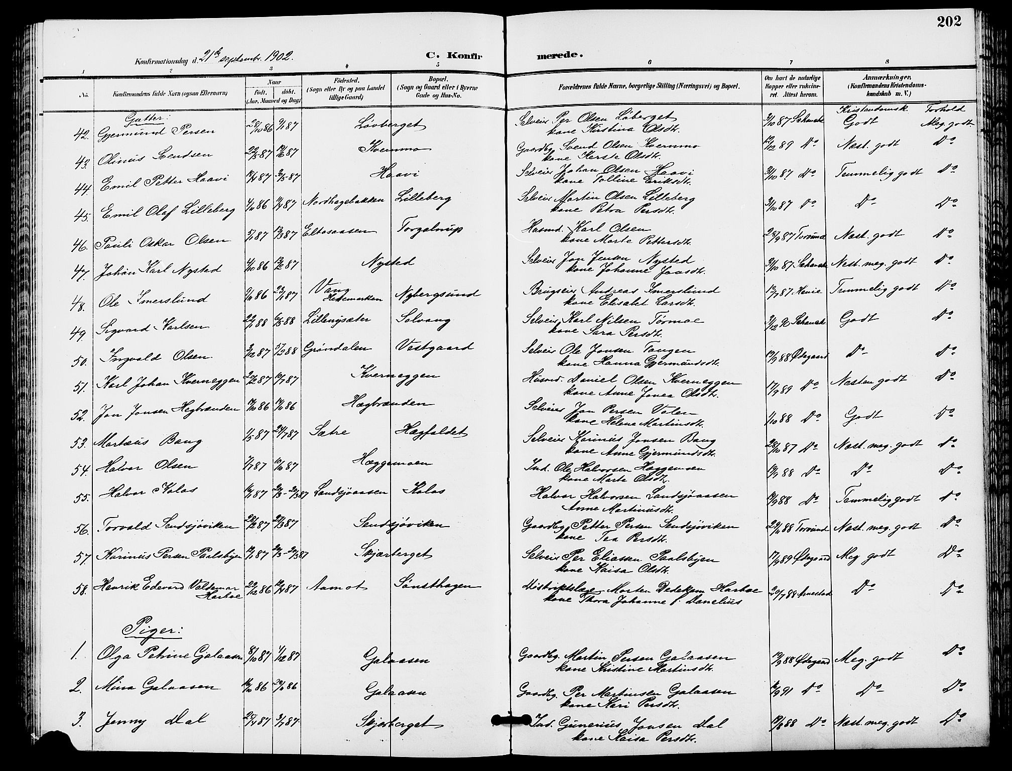 Trysil prestekontor, AV/SAH-PREST-046/H/Ha/Hab/L0006: Parish register (copy) no. 6, 1896-1912, p. 202