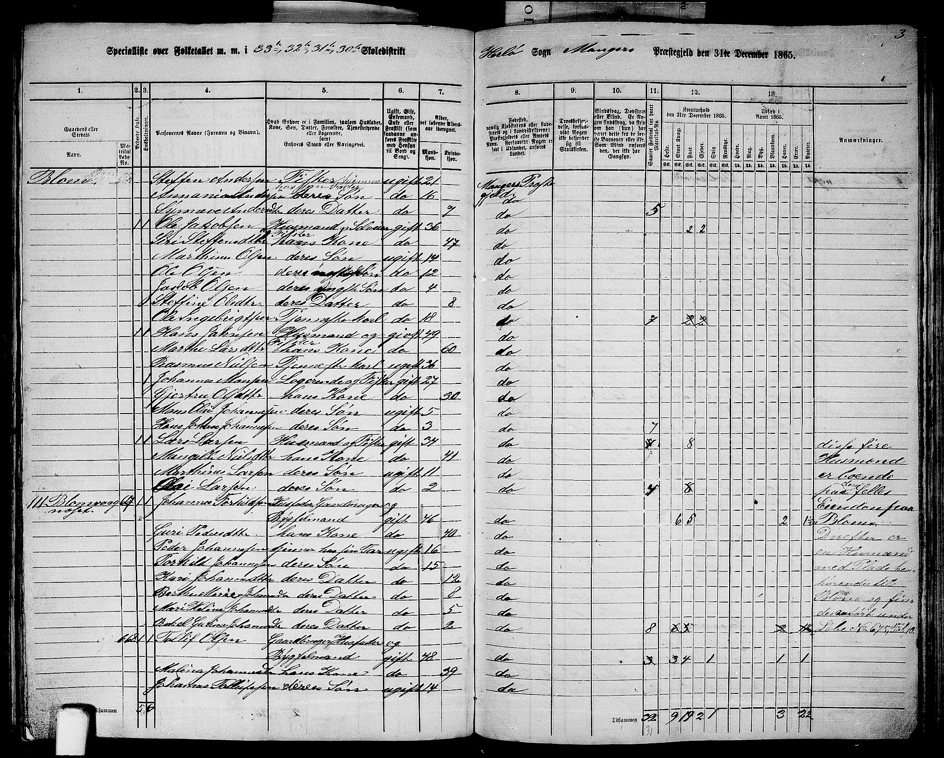 RA, 1865 census for Manger, 1865, p. 191