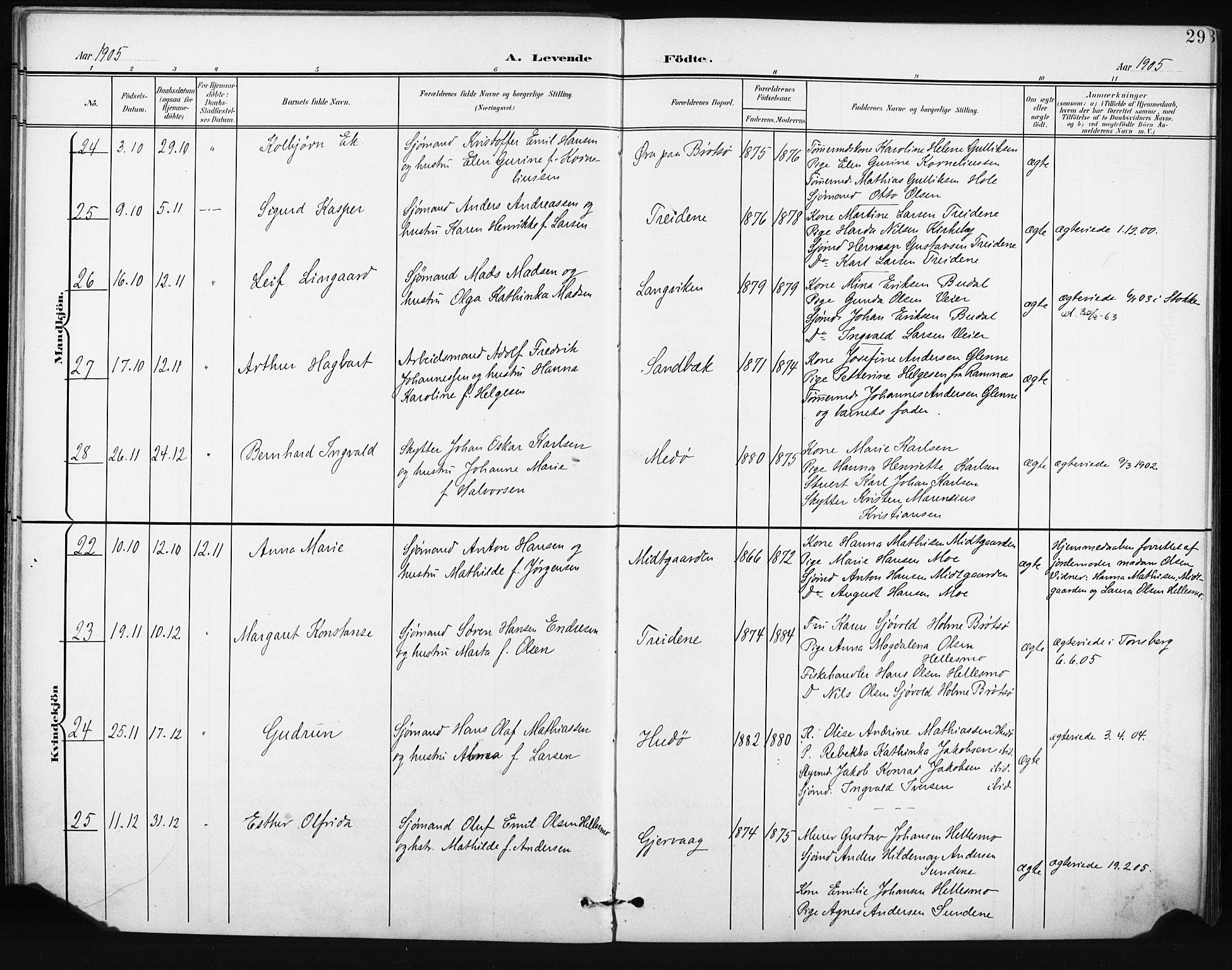 Tjøme kirkebøker, AV/SAKO-A-328/F/Fa/L0005: Parish register (official) no. I 5, 1901-1909, p. 29