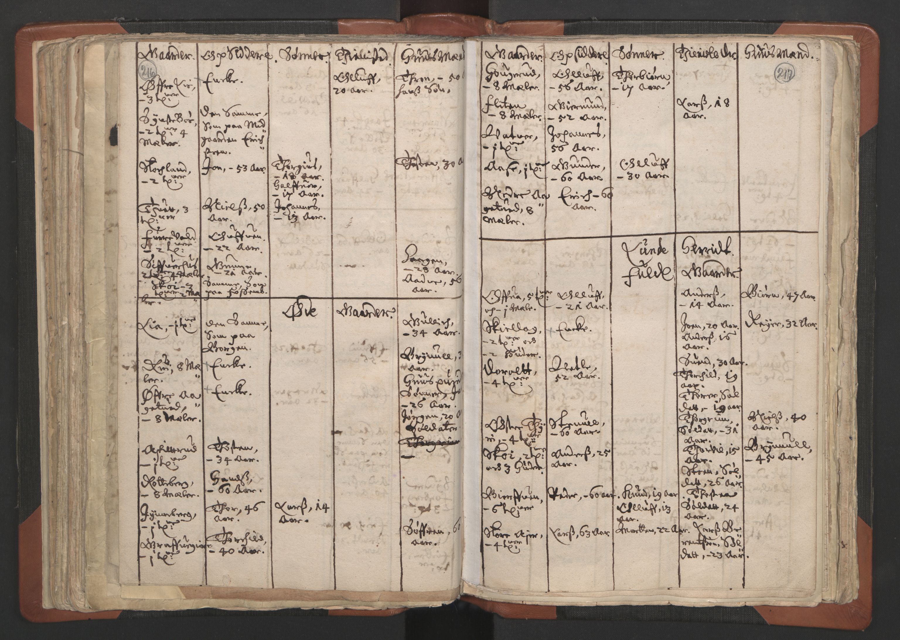RA, Vicar's Census 1664-1666, no. 12: Øvre Telemark deanery, Nedre Telemark deanery and Bamble deanery, 1664-1666, p. 216-217