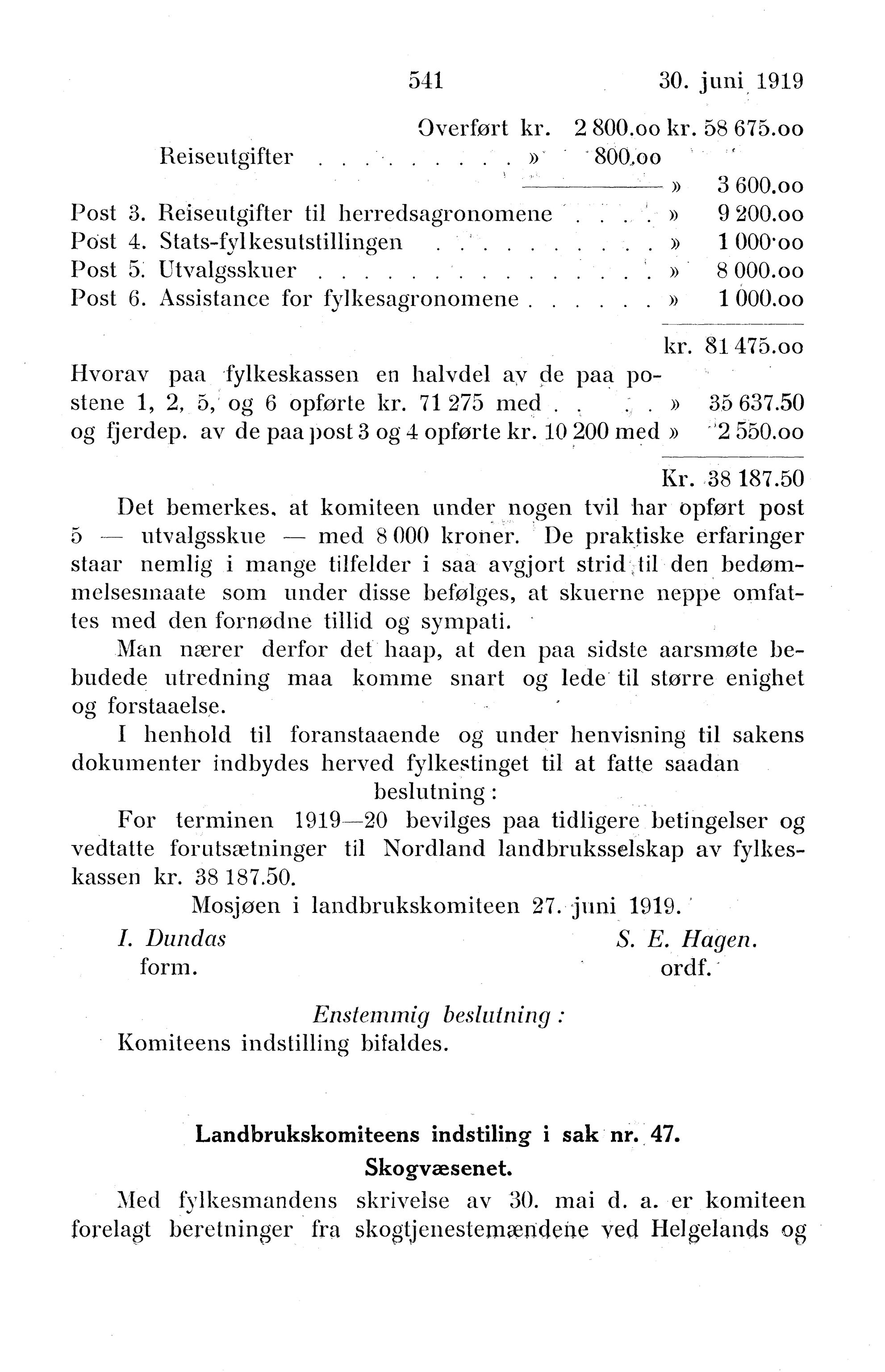 Nordland Fylkeskommune. Fylkestinget, AIN/NFK-17/176/A/Ac/L0042: Fylkestingsforhandlinger 1919, 1919