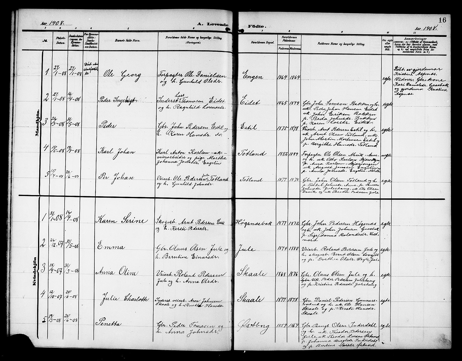 Ministerialprotokoller, klokkerbøker og fødselsregistre - Nord-Trøndelag, SAT/A-1458/757/L0506: Parish register (copy) no. 757C01, 1904-1922, p. 16