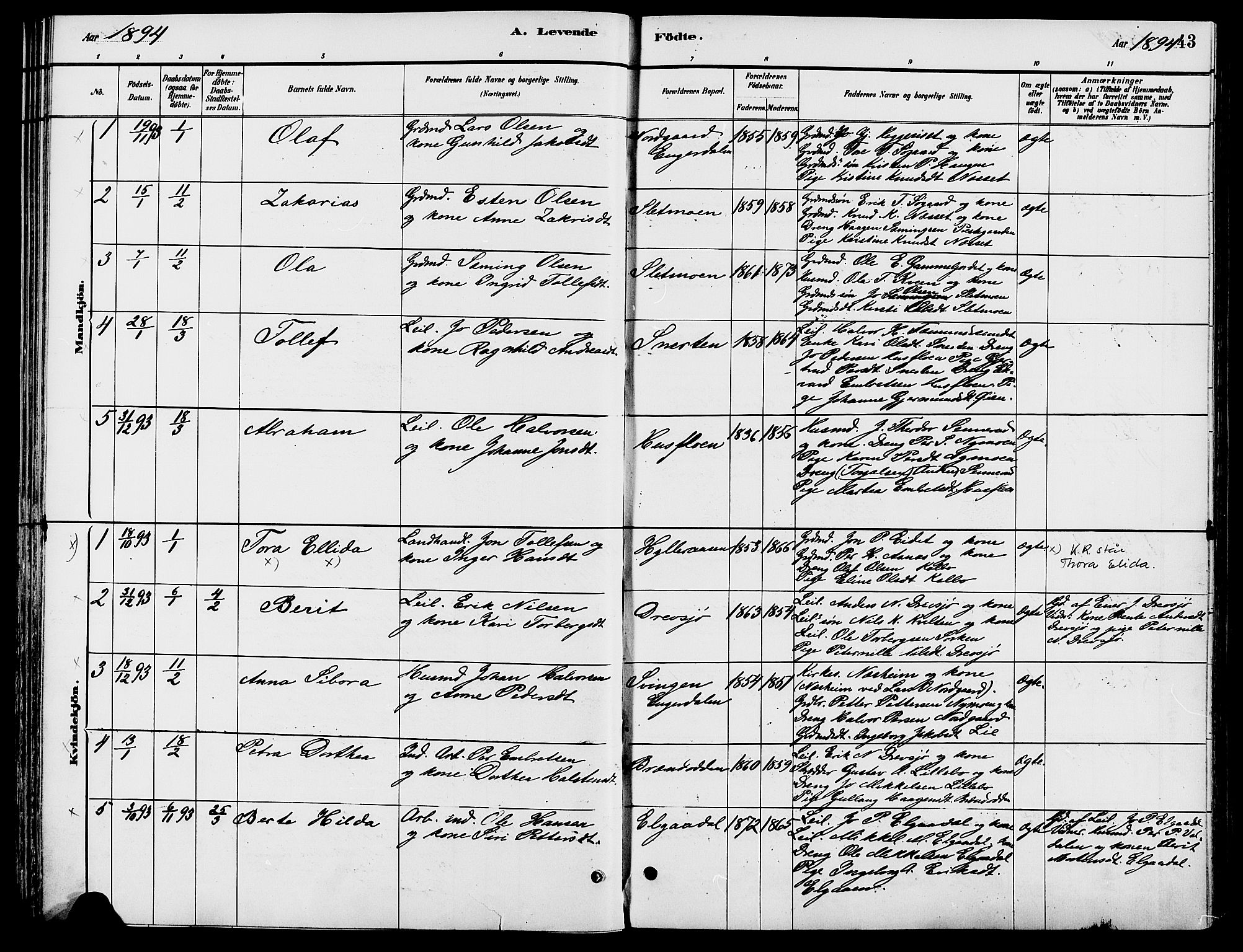 Engerdal prestekontor, AV/SAH-PREST-048/H/Ha/Haa/L0001: Parish register (official) no. 1, 1881-1898, p. 43