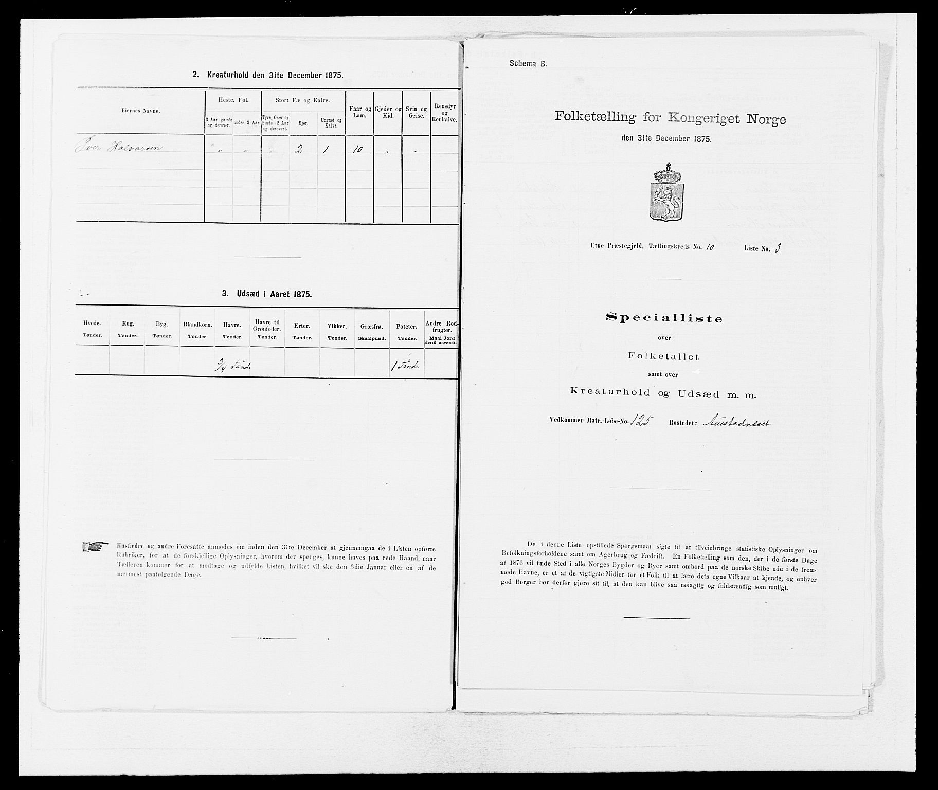 SAB, 1875 census for 1211P Etne, 1875, p. 636