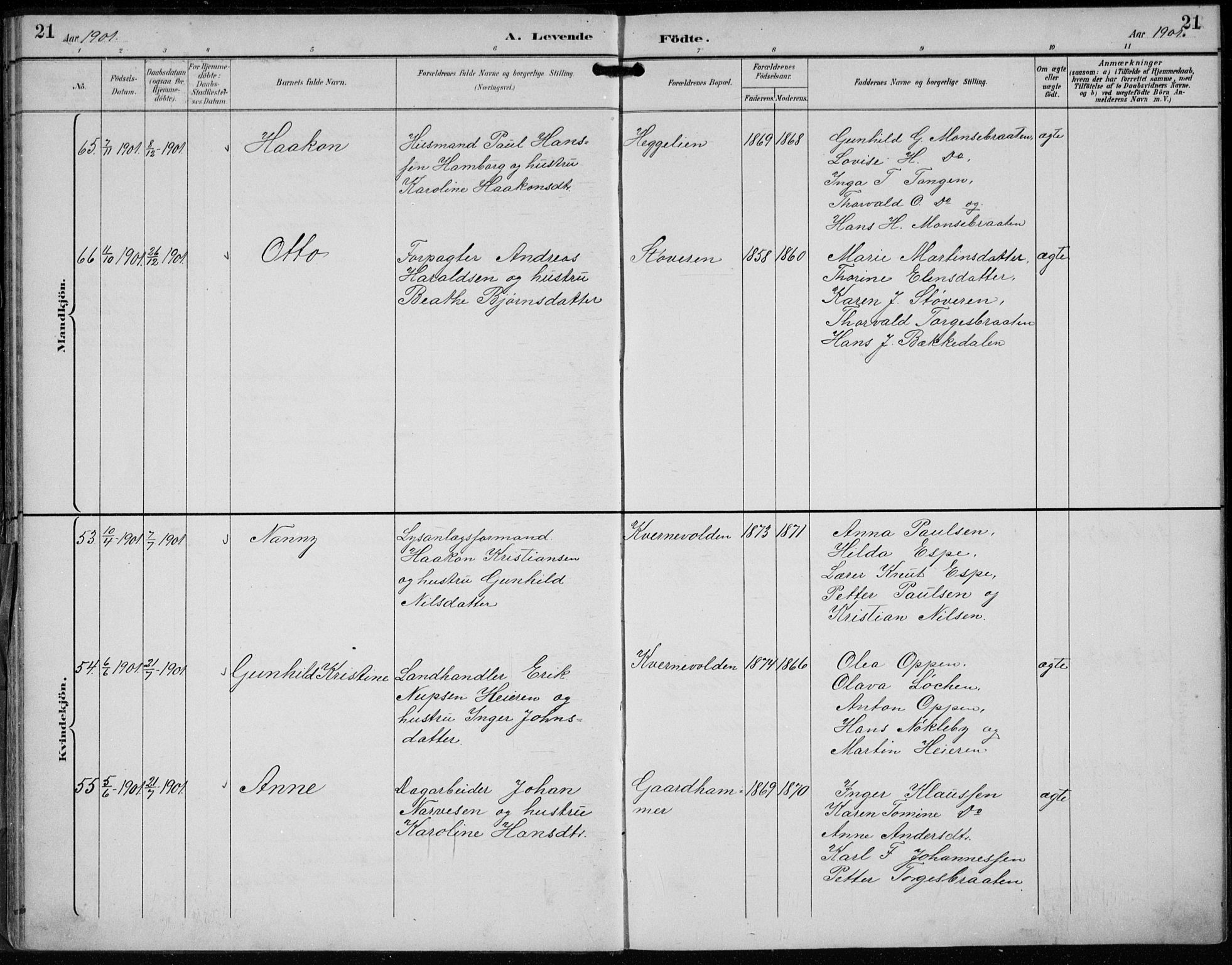 Lunder kirkebøker, AV/SAKO-A-629/F/Fb/L0001: Parish register (official) no. II 1, 1893-1916, p. 21