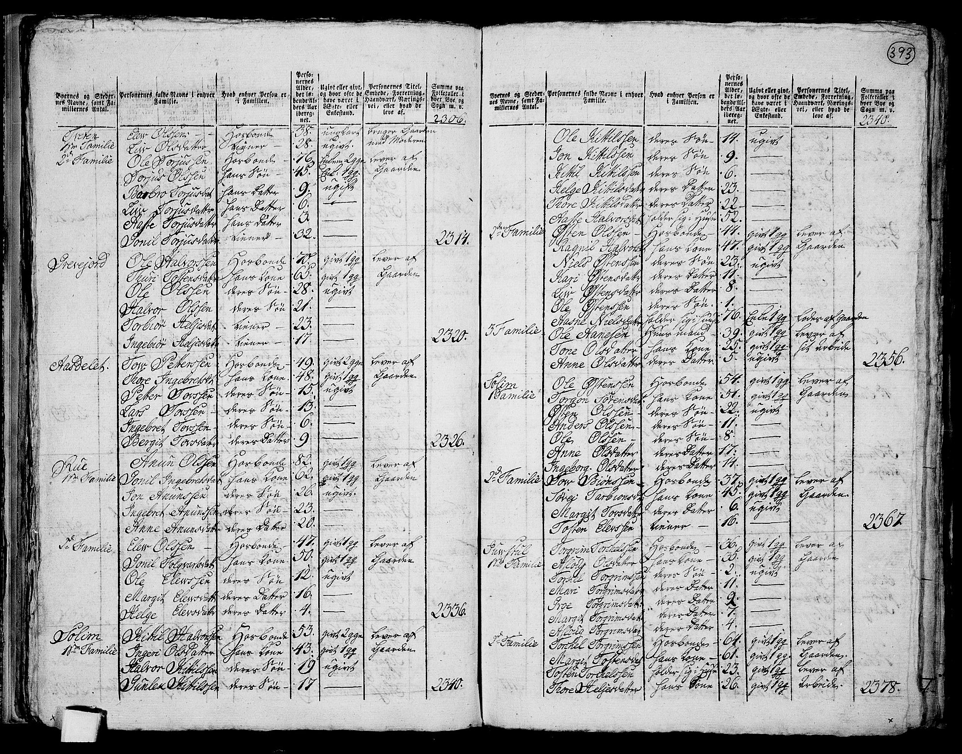 RA, 1801 census for 0827P Hjartdal, 1801, p. 392b-393a