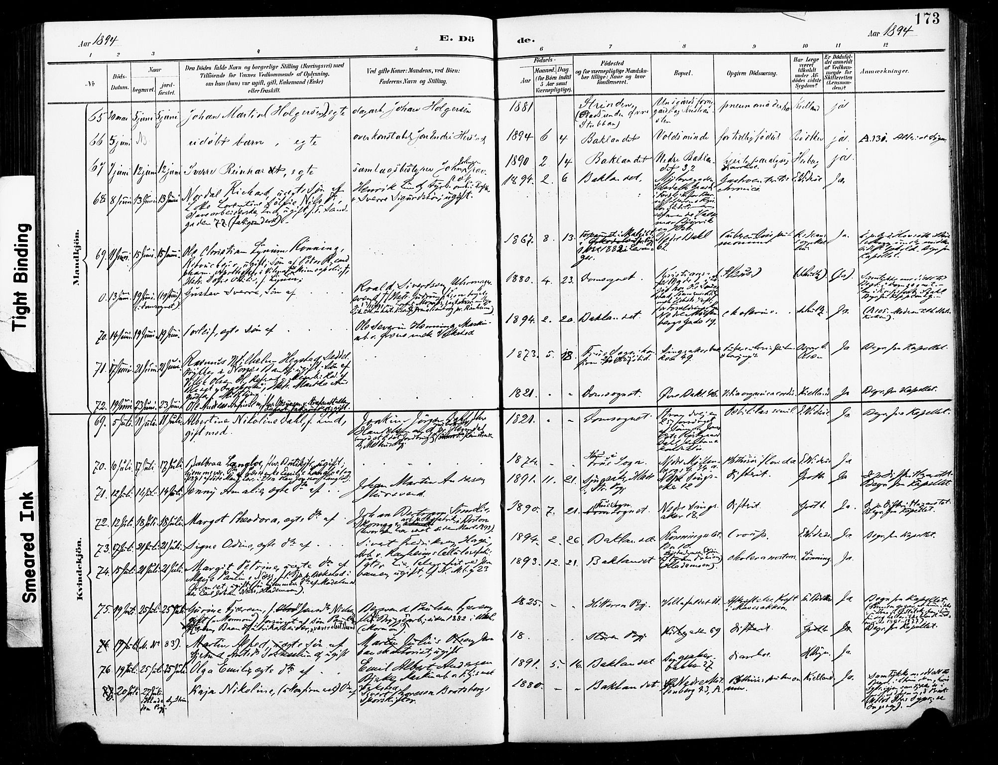 Ministerialprotokoller, klokkerbøker og fødselsregistre - Sør-Trøndelag, AV/SAT-A-1456/604/L0198: Parish register (official) no. 604A19, 1893-1900, p. 173