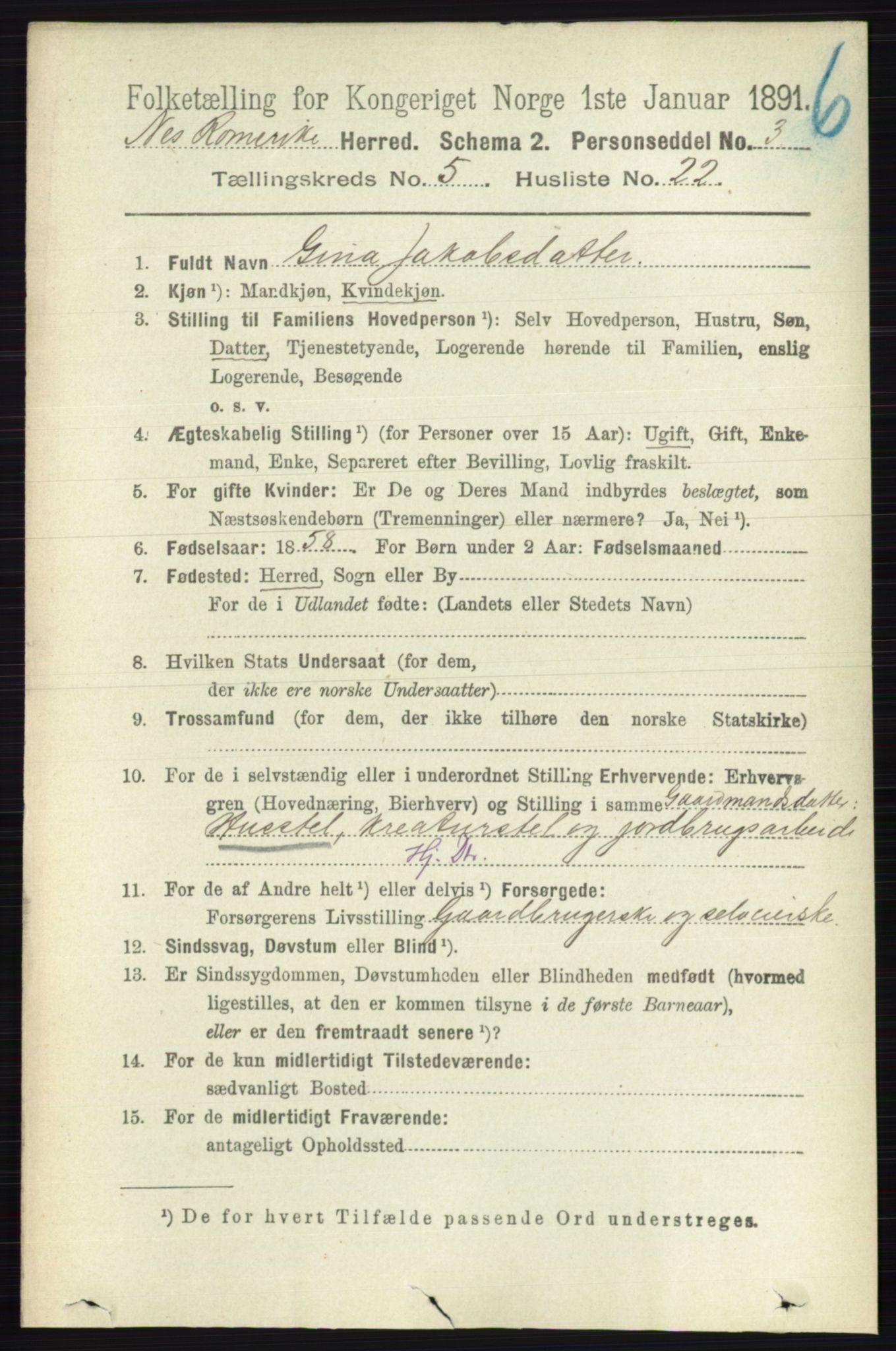 RA, 1891 census for 0236 Nes, 1891, p. 2911