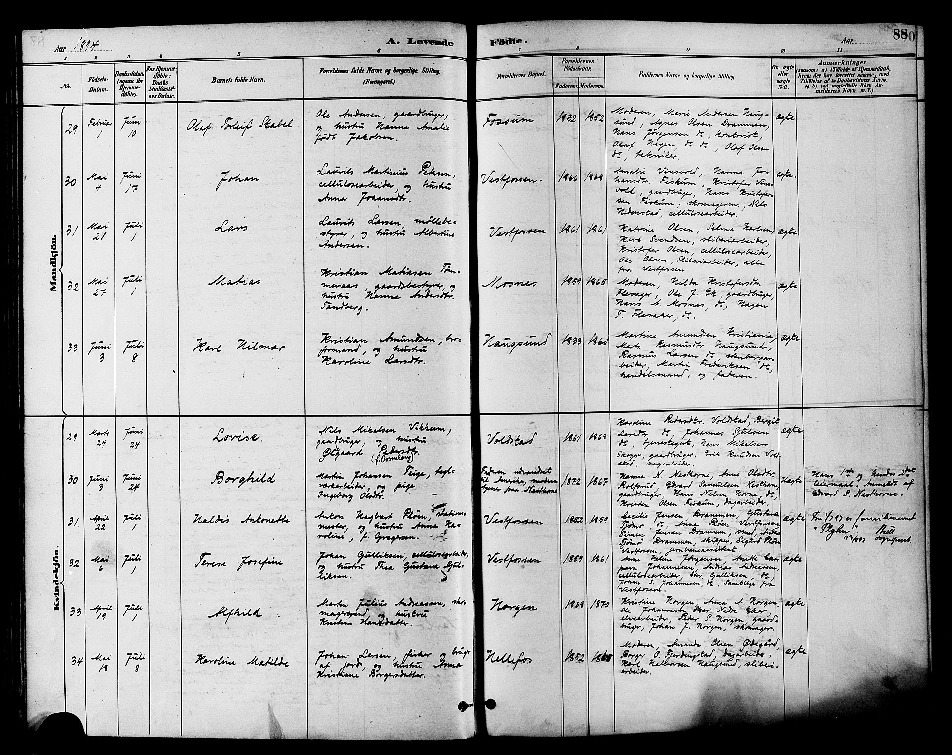 Eiker kirkebøker, SAKO/A-4/F/Fb/L0002: Parish register (official) no. II 2, 1889-1896, p. 88