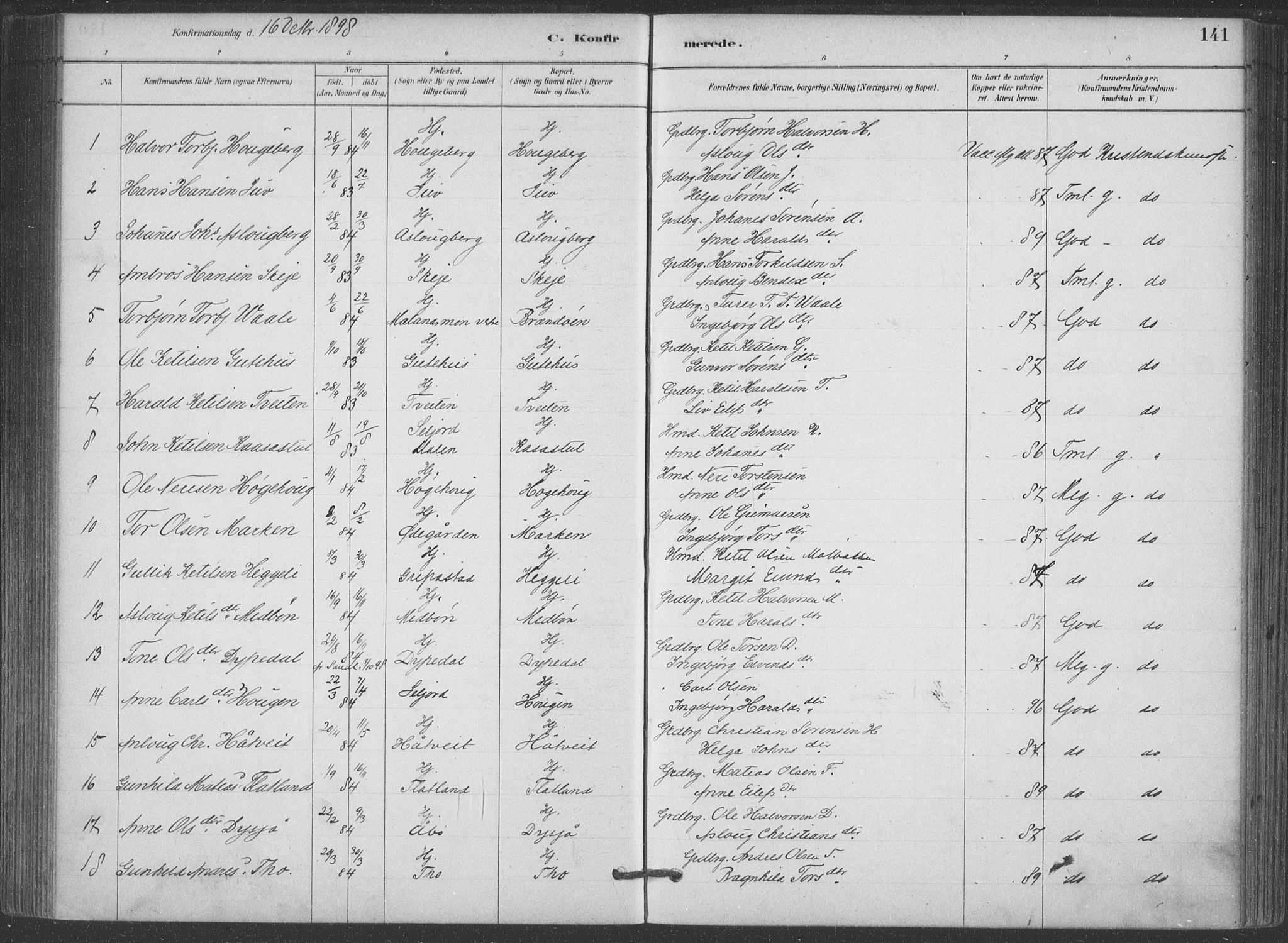 Hjartdal kirkebøker, SAKO/A-270/F/Fa/L0010: Parish register (official) no. I 10, 1880-1929, p. 141