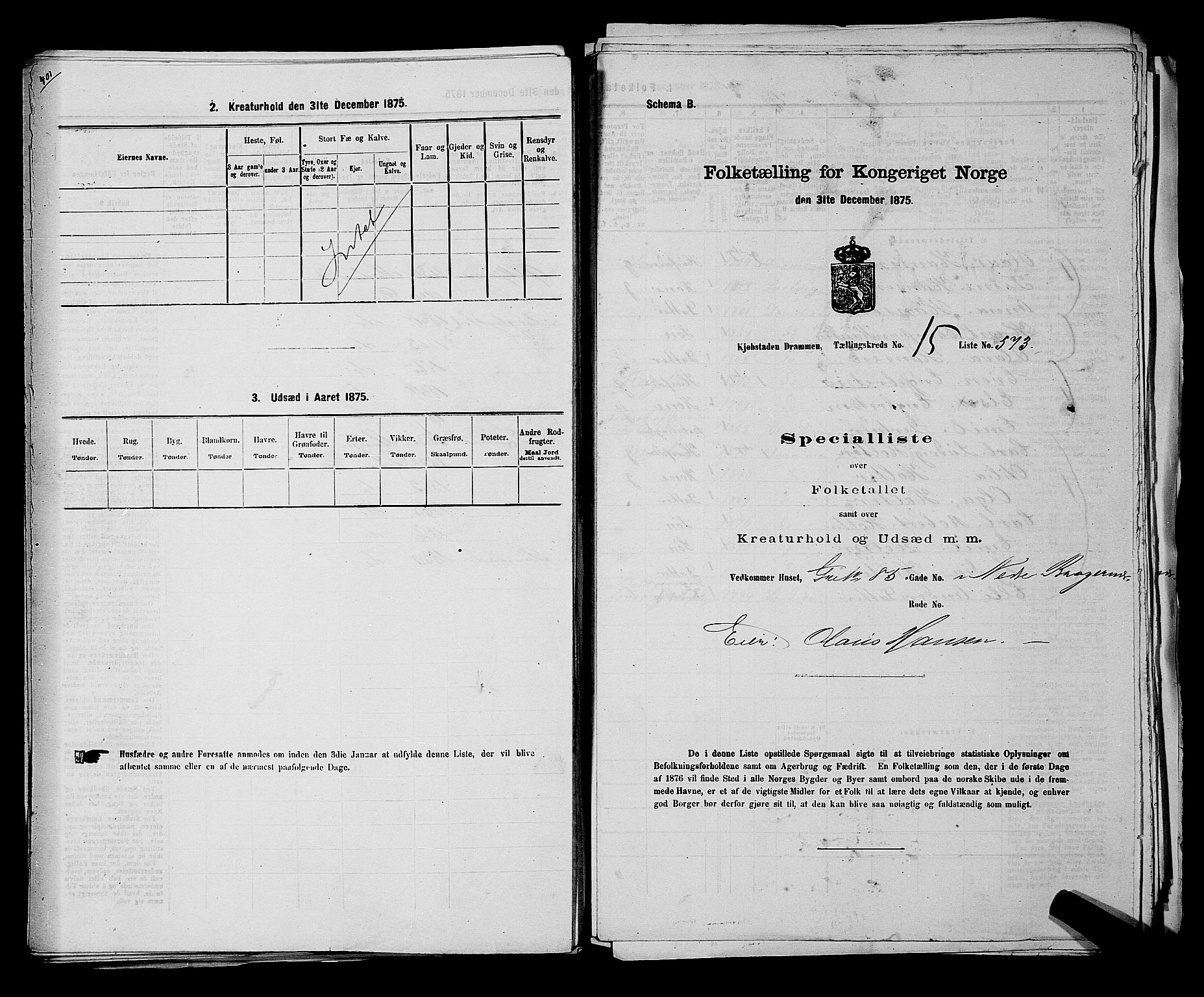 SAKO, 1875 census for 0602 Drammen, 1875, p. 1698