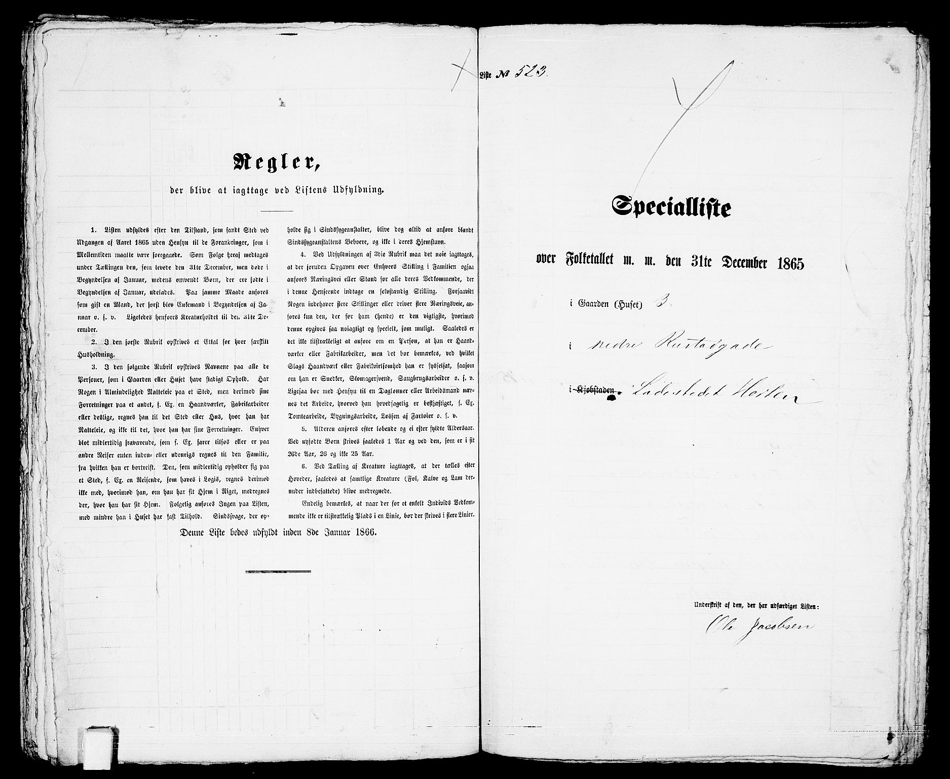 RA, 1865 census for Horten, 1865, p. 1089